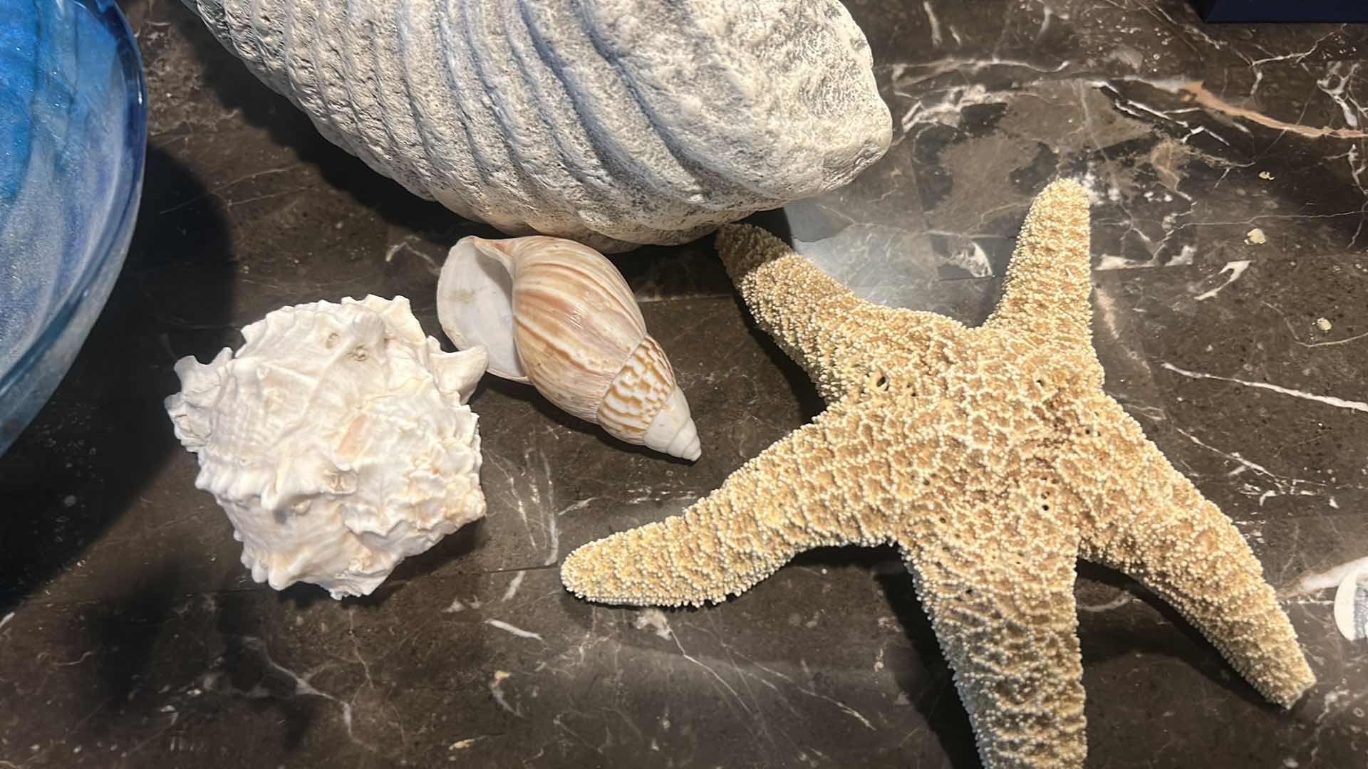 Photo 1 of OCEAN THEMED DECOR - GLASS BOWLS (ROUND 12.5”) SHELL FOSSIL STATUE, SHELLS, STARFISH