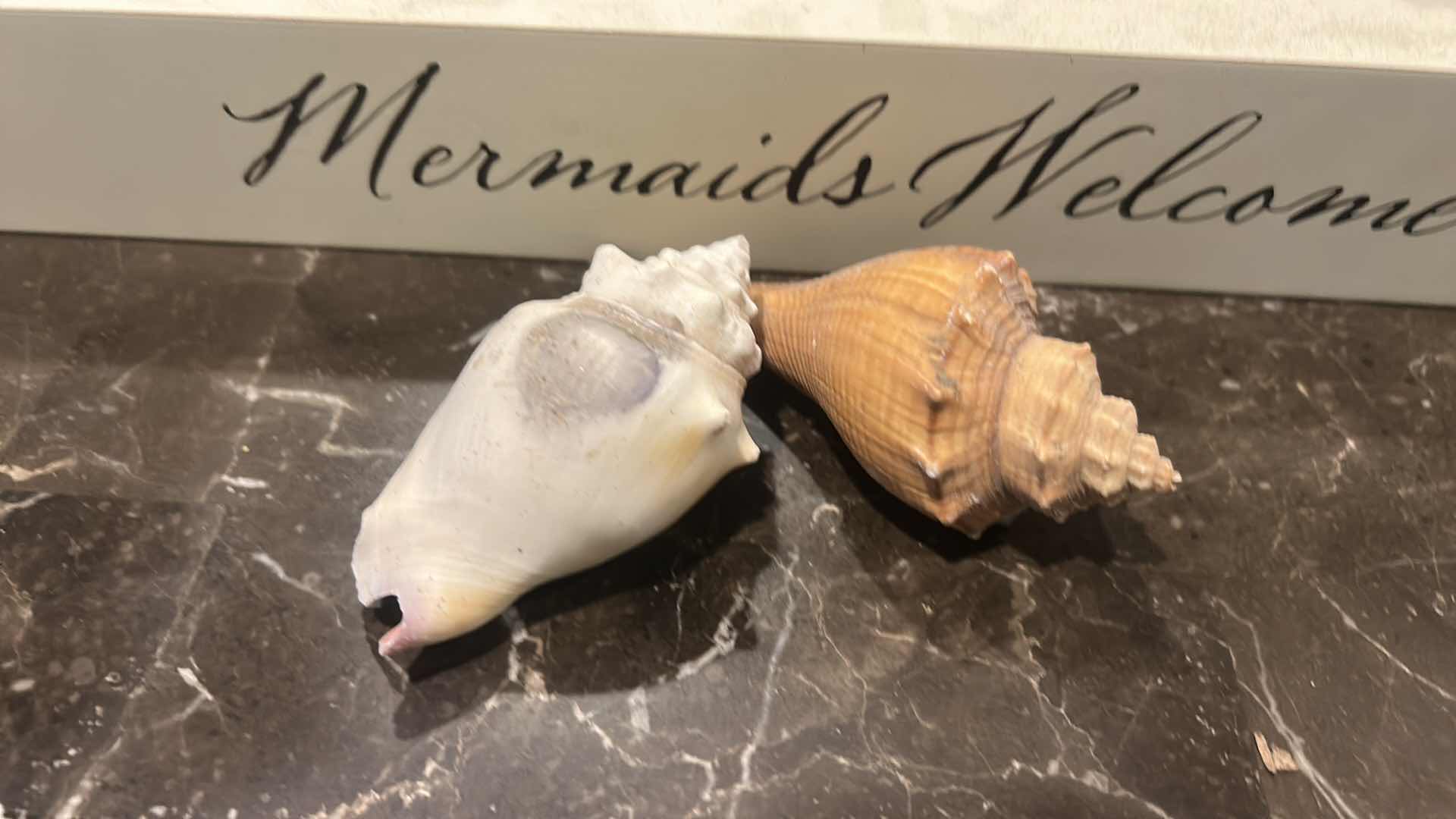 Photo 3 of OCEAN THEMED DECOR GLASS PLATES/BOWLS (FISH 15.25”) CORAL, SHELLS AND WOOD MERMAID SIGN