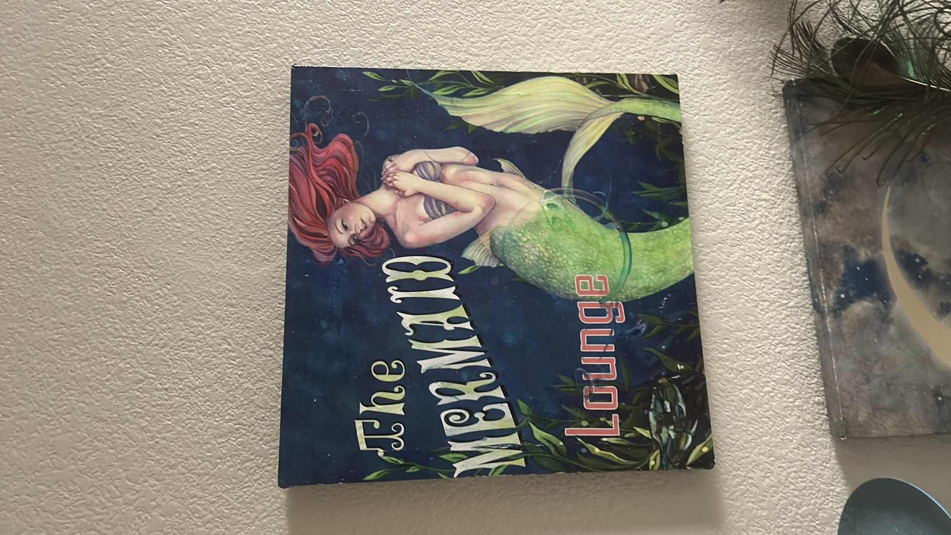 Photo 1 of MERMAID DECOR MERMAID WITH MOON LIGHTS UP WITH BATTERIES 11” x 15”