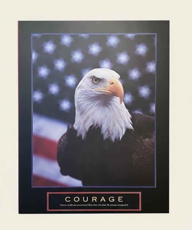 Photo 1 of FRAMED, BALD EAGLE MOTIVATIONAL POSTER PRINT FEATURING A PATRIOTIC IMAGE OF AN EAGLE SET AGAINST AN AMERICAN FLAG BACKGROUND WITH THE WORD “COURAGE” BELOW., ARTWORK 22” x H28”