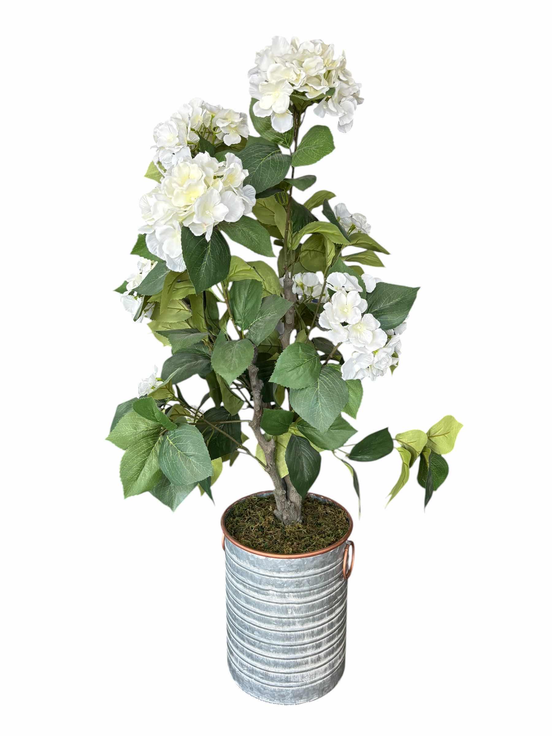 Photo 1 of ARTIFICIAL WHITE HYDRANGEA TREE H45”