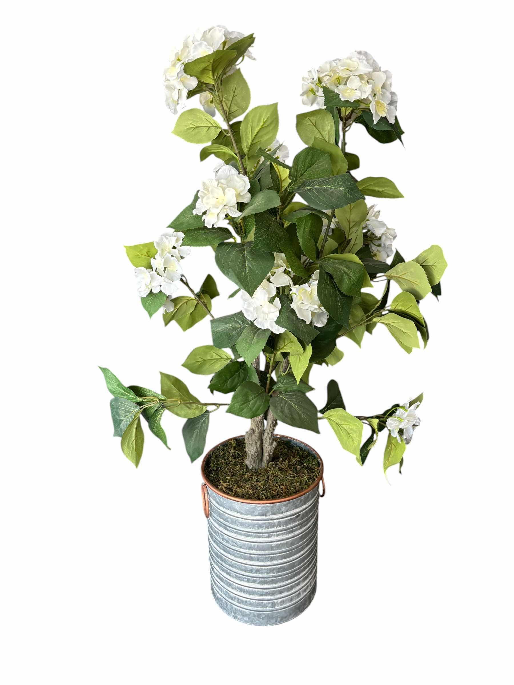 Photo 1 of ARTIFICIAL WHITE HYDRANGEA TREE H45”
