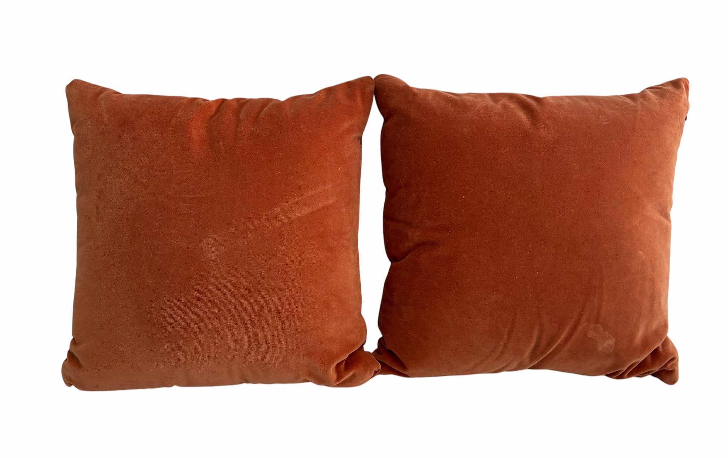 Photo 1 of “AMORE” PILLOWS (2) & OTHER DECORATIVE PILLOWS (3)