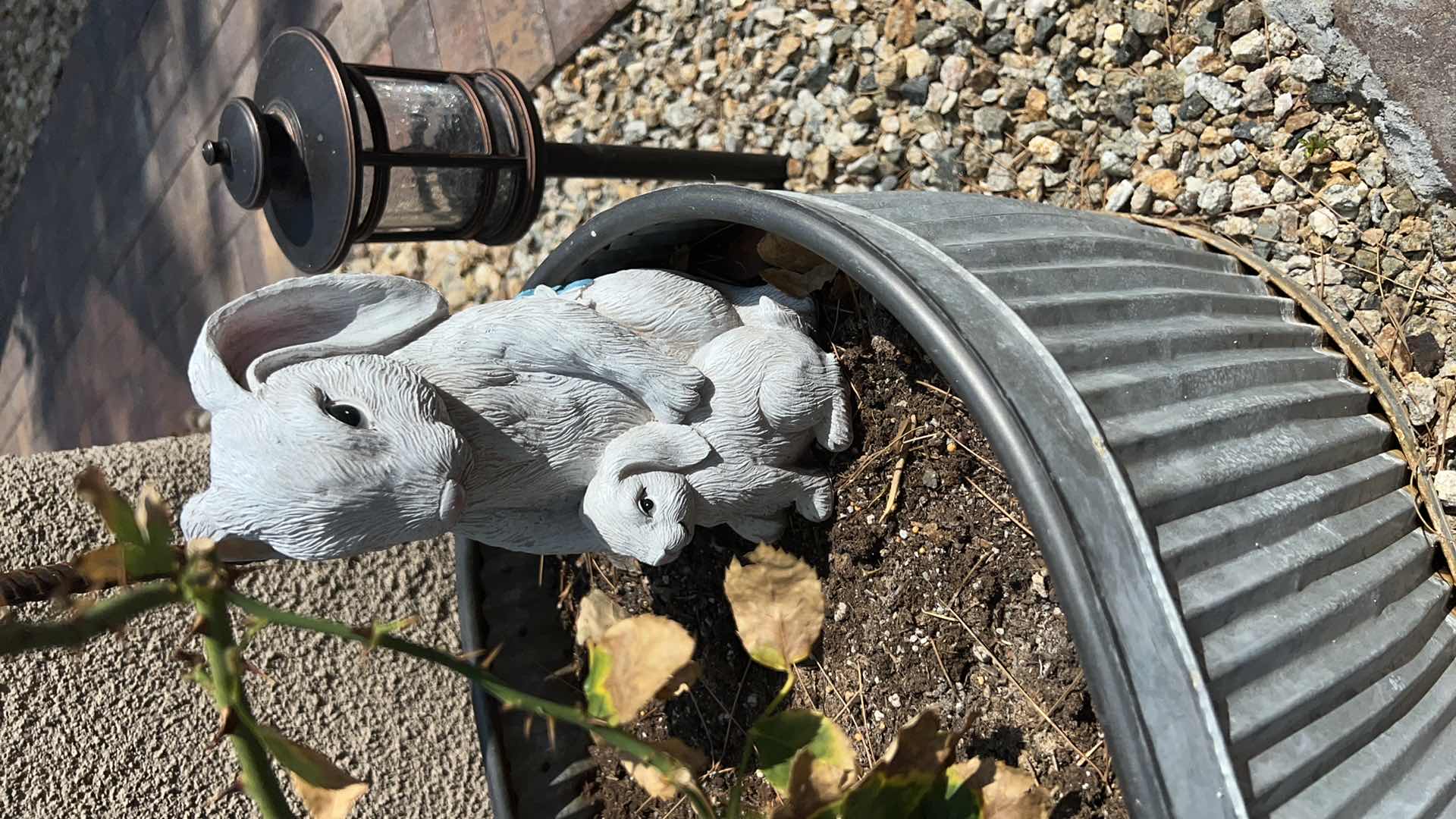 Photo 1 of METAL PLANTER TUB  26" x 15" H14" W LIVE ROSE BUSH & CERAMIC BUNNY