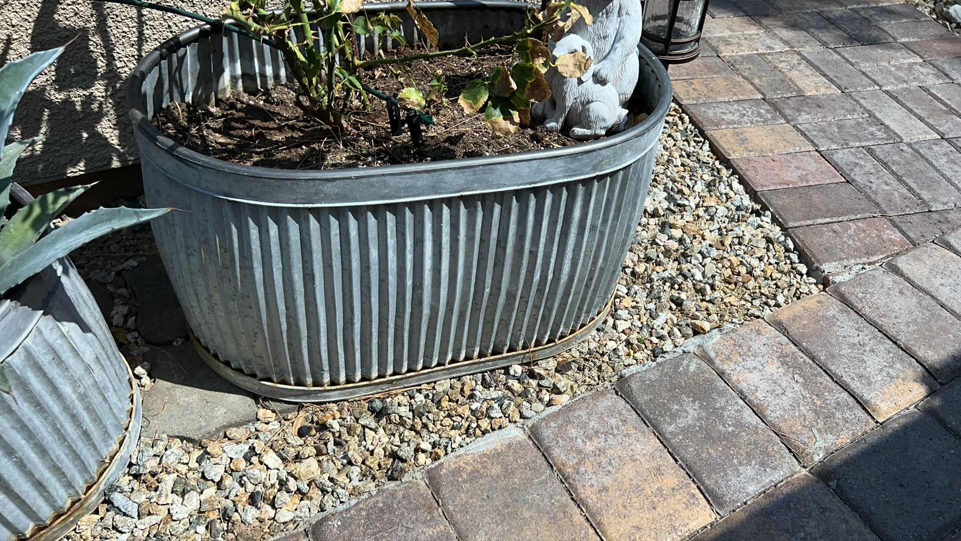 Photo 1 of METAL PLANTER TUB  26" x 15" H14" W LIVE ROSE BUSH & CERAMIC BUNNY