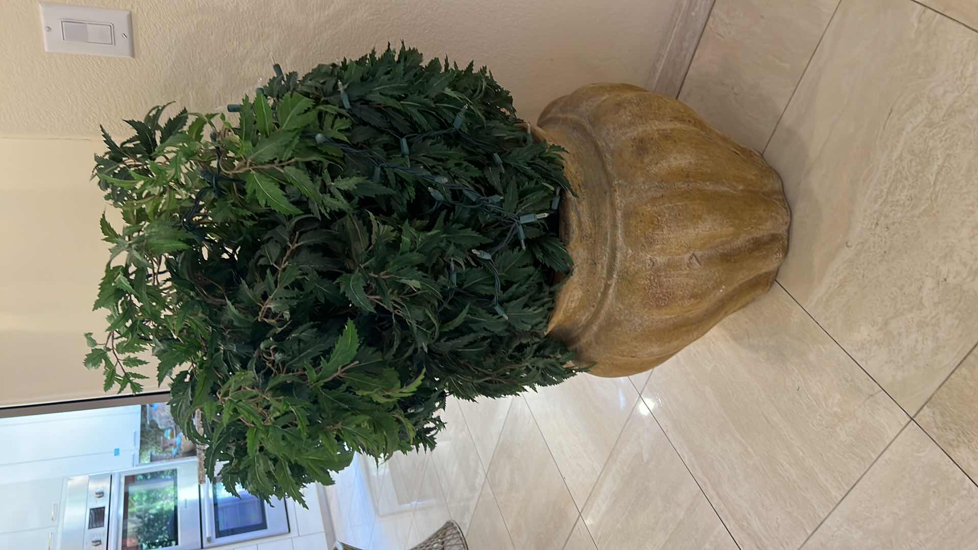 Photo 1 of FAUX CLAY POT W GREEN PLANT H41"