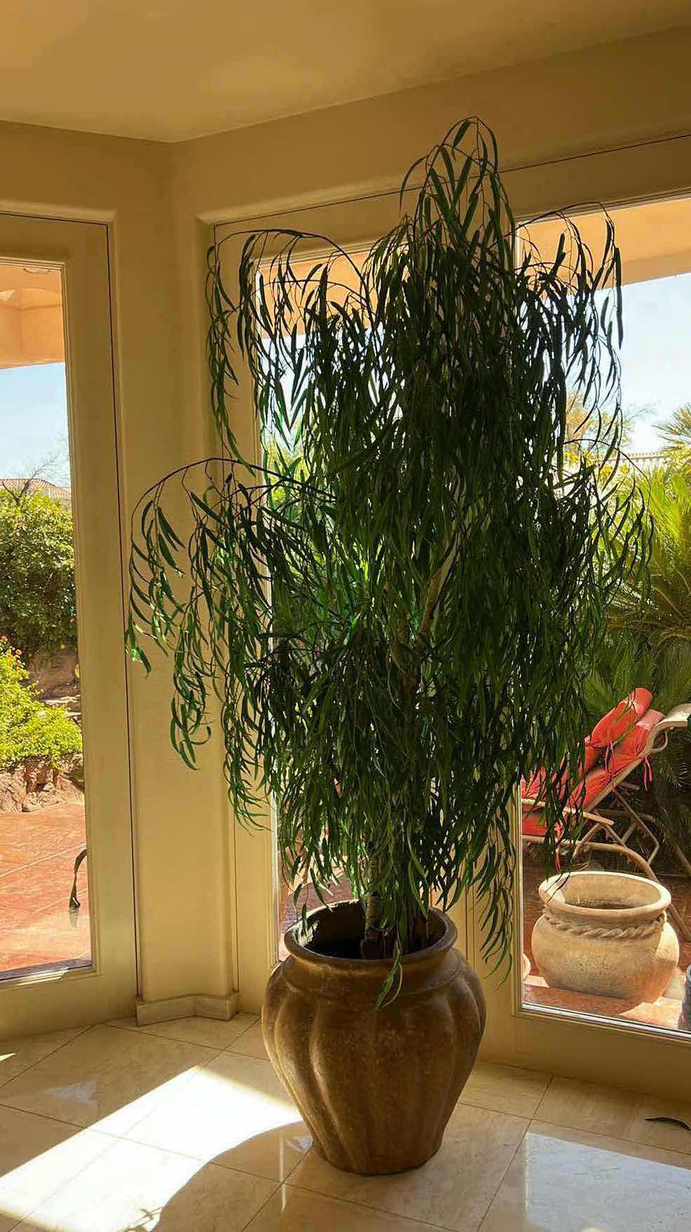 Photo 1 of 8' POTTED FAUX TREE