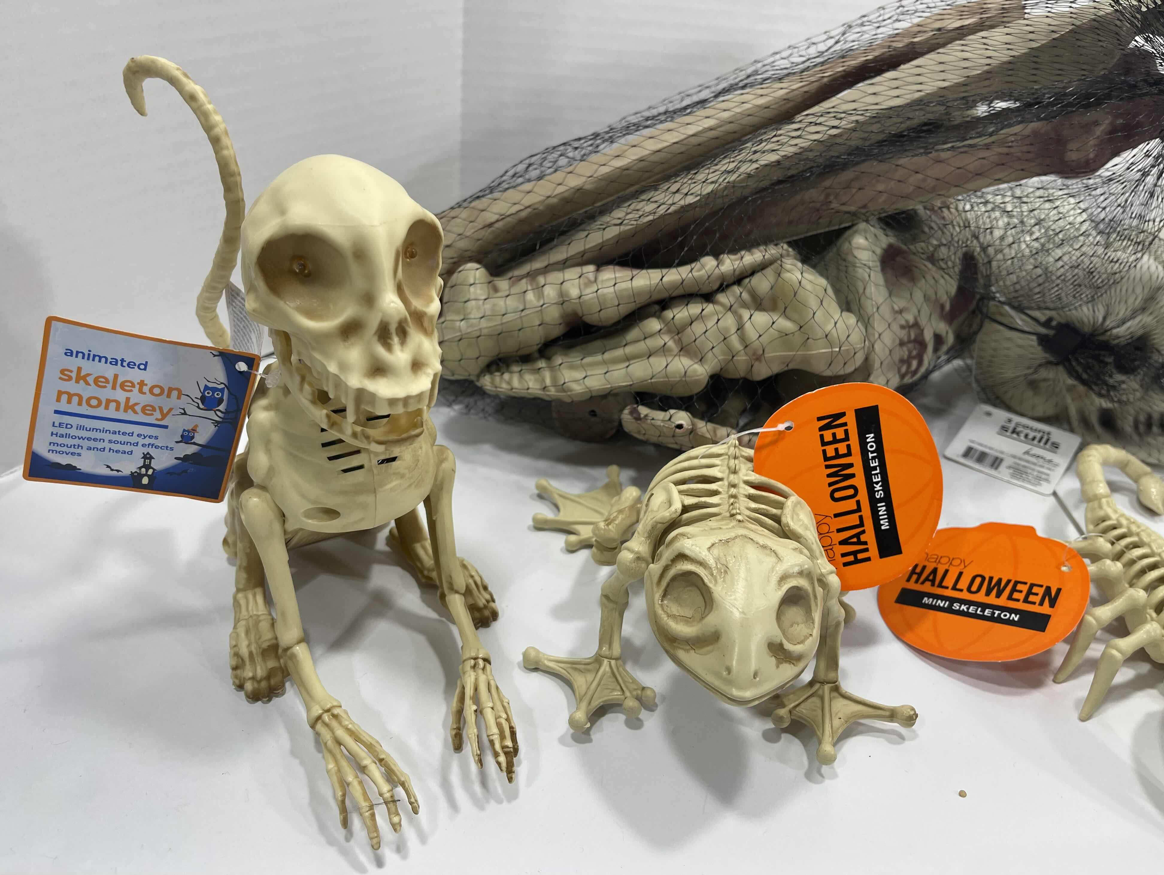 Photo 1 of HALLOWEEN FROG SKELETON LIGHT-UP, ANIMATED MONKEY, MINI SKELETONS SKULLS & BAG OF BONES YARD/HOME DECORATIONS (7 ITEMS) MSRP $100