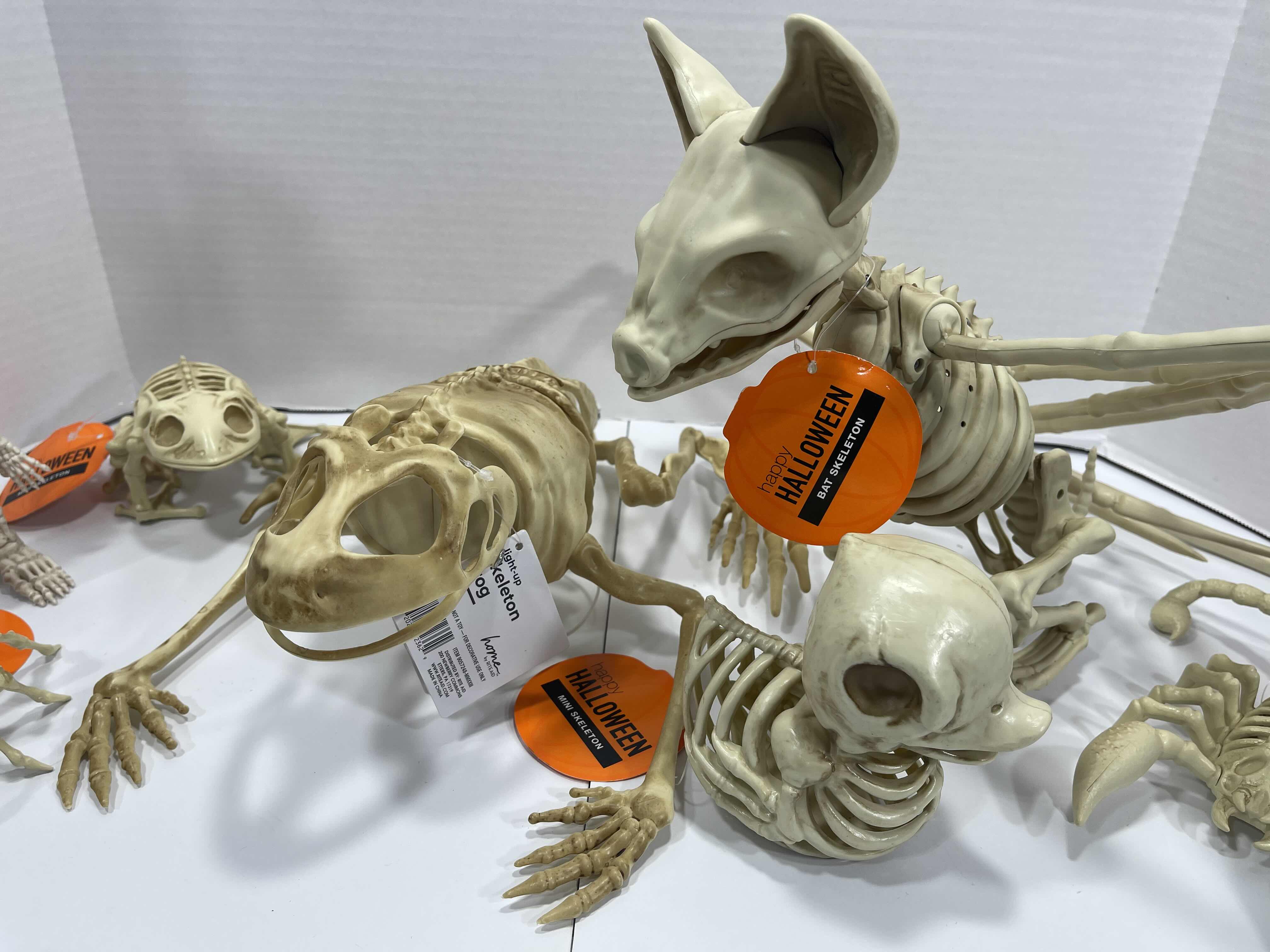 Photo 1 of HALLOWEEN FROG SKELETON LIGHT-UP, BAT SKELETON, MINI SKELETONS YARD/HOME DECORATIONS (7 ITEMS) MSRP $80