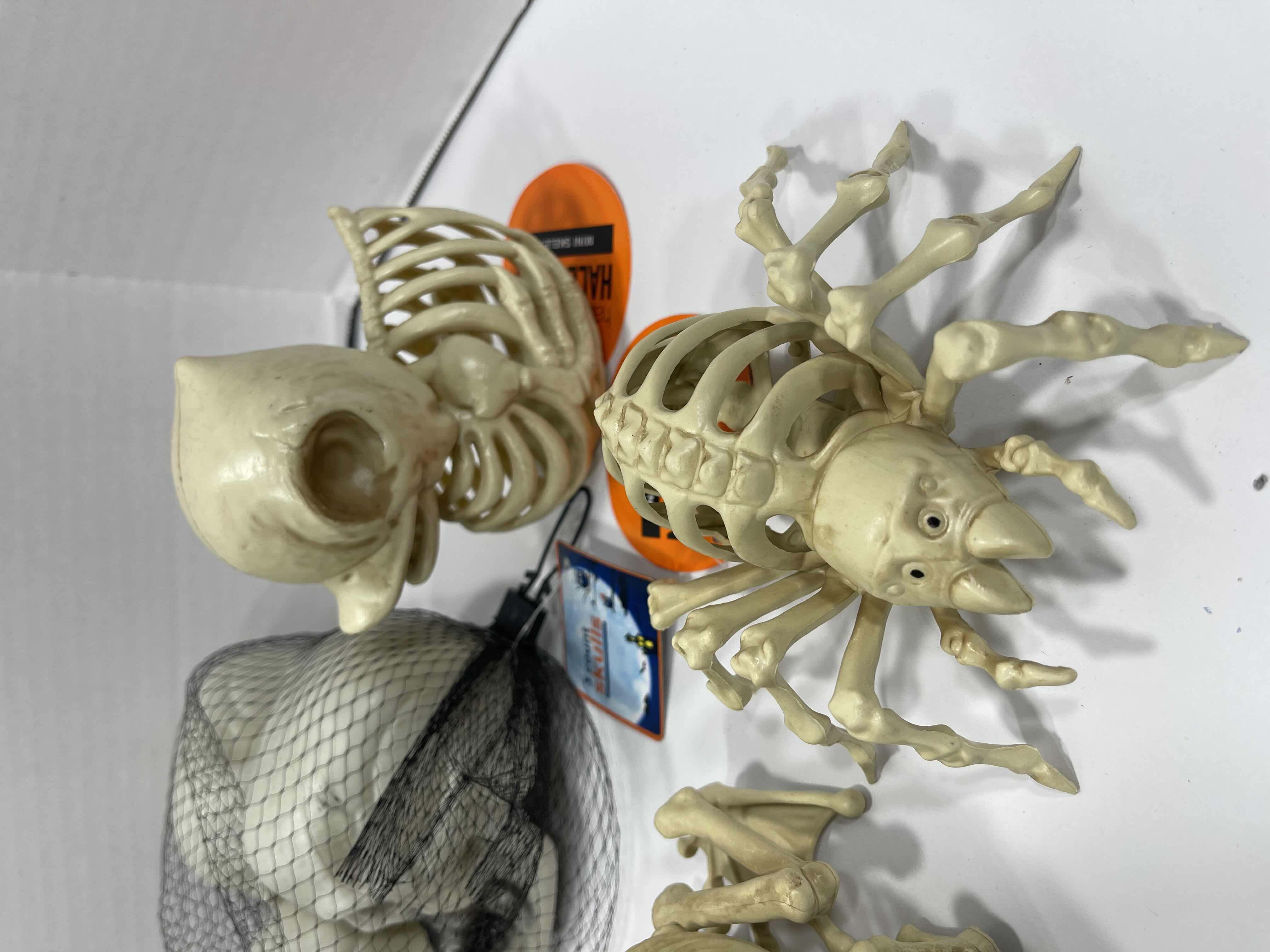 Photo 1 of HALLOWEEN FROG SKELETON LIGHT-UP, HANGING SKELETON, MINI SKELETONS & SKUKLS YARD/HOME DECORATIONS (7 ITEMS) MSRP $70