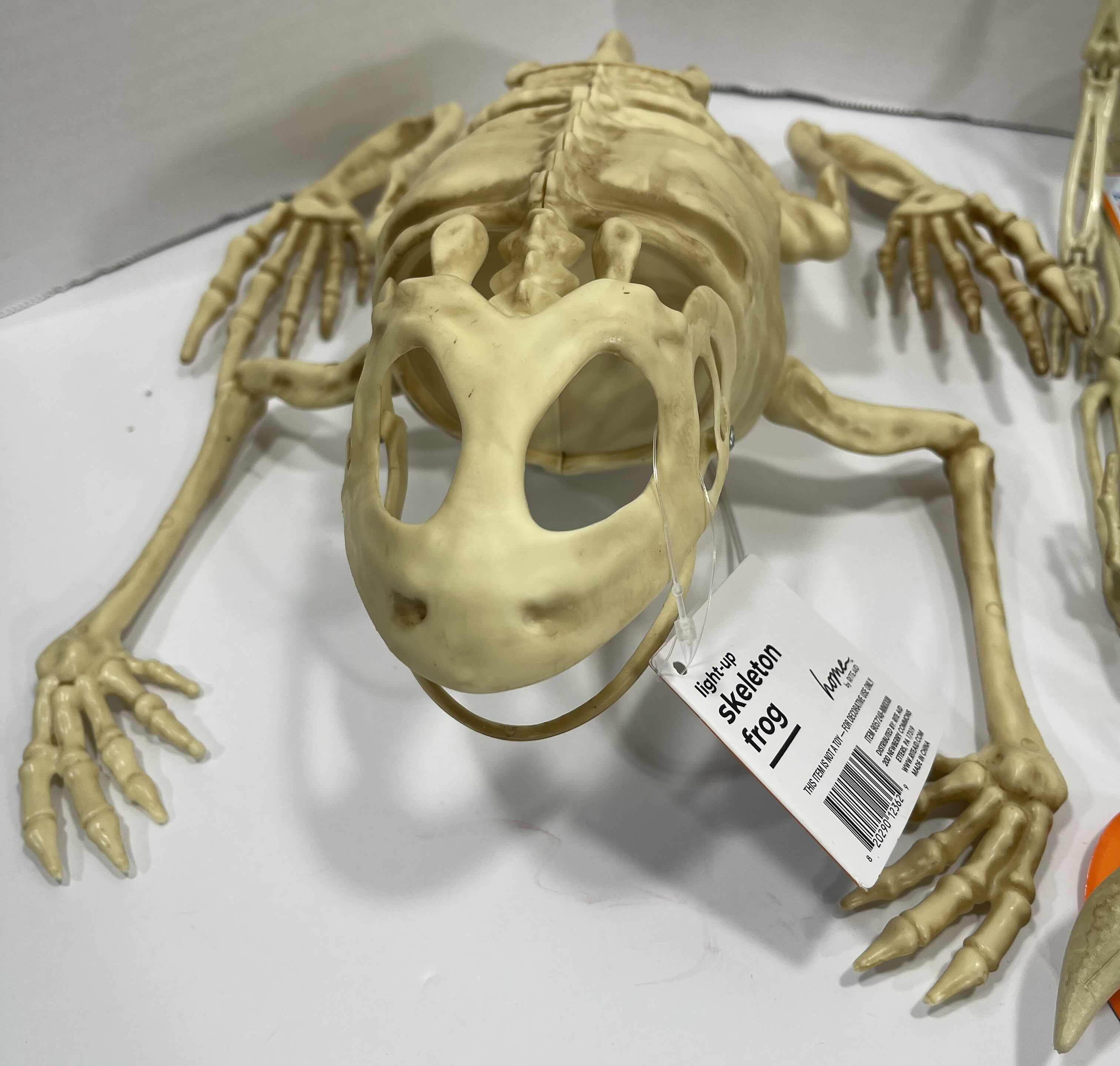 Photo 1 of HALLOWEEN FROG SKELETON LIGHT-UP, HANGING SKELETON, MINI SKELETONS & SKUKLS YARD/HOME DECORATIONS (7 ITEMS) MSRP $70