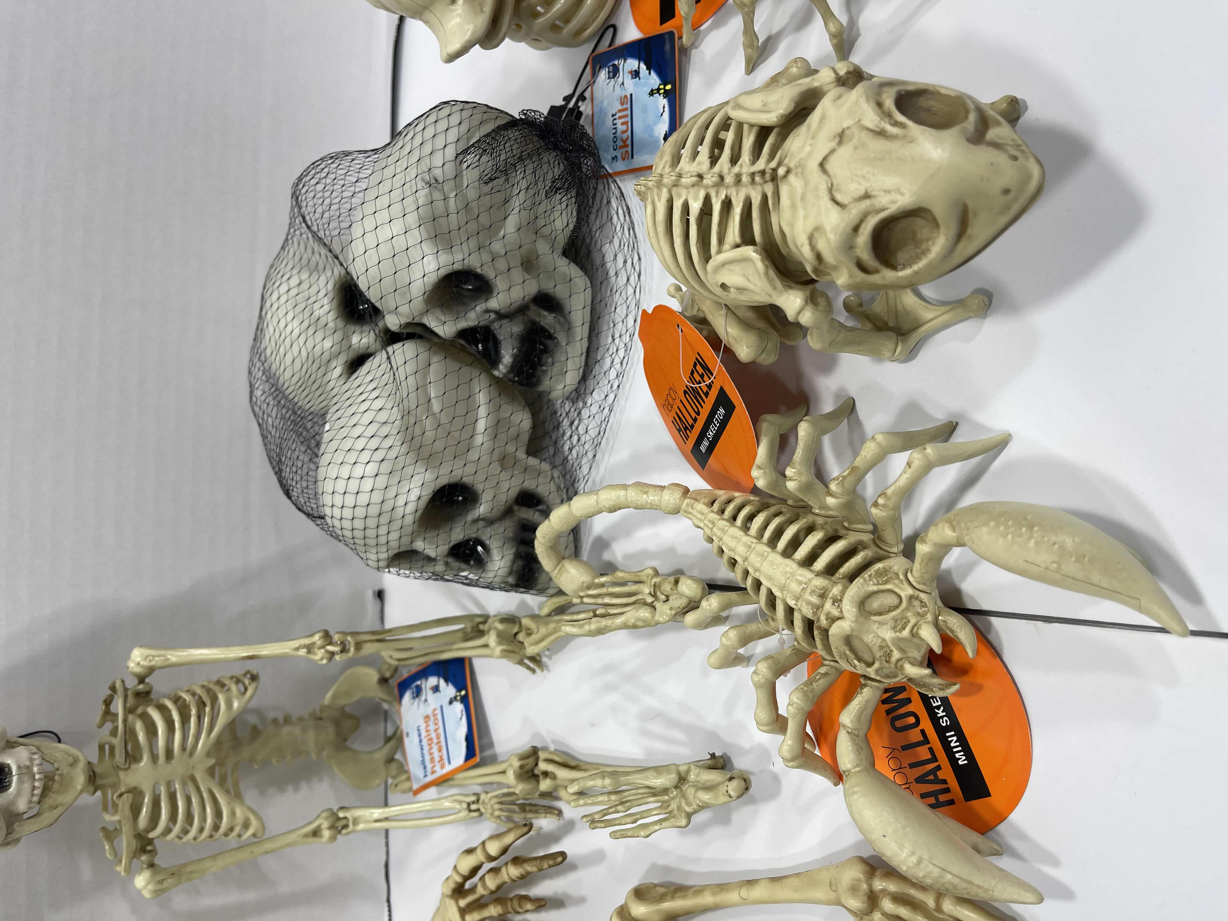 Photo 1 of HALLOWEEN FROG SKELETON LIGHT-UP, HANGING SKELETON, MINI SKELETONS & SKUKLS YARD/HOME DECORATIONS (7 ITEMS) MSRP $70