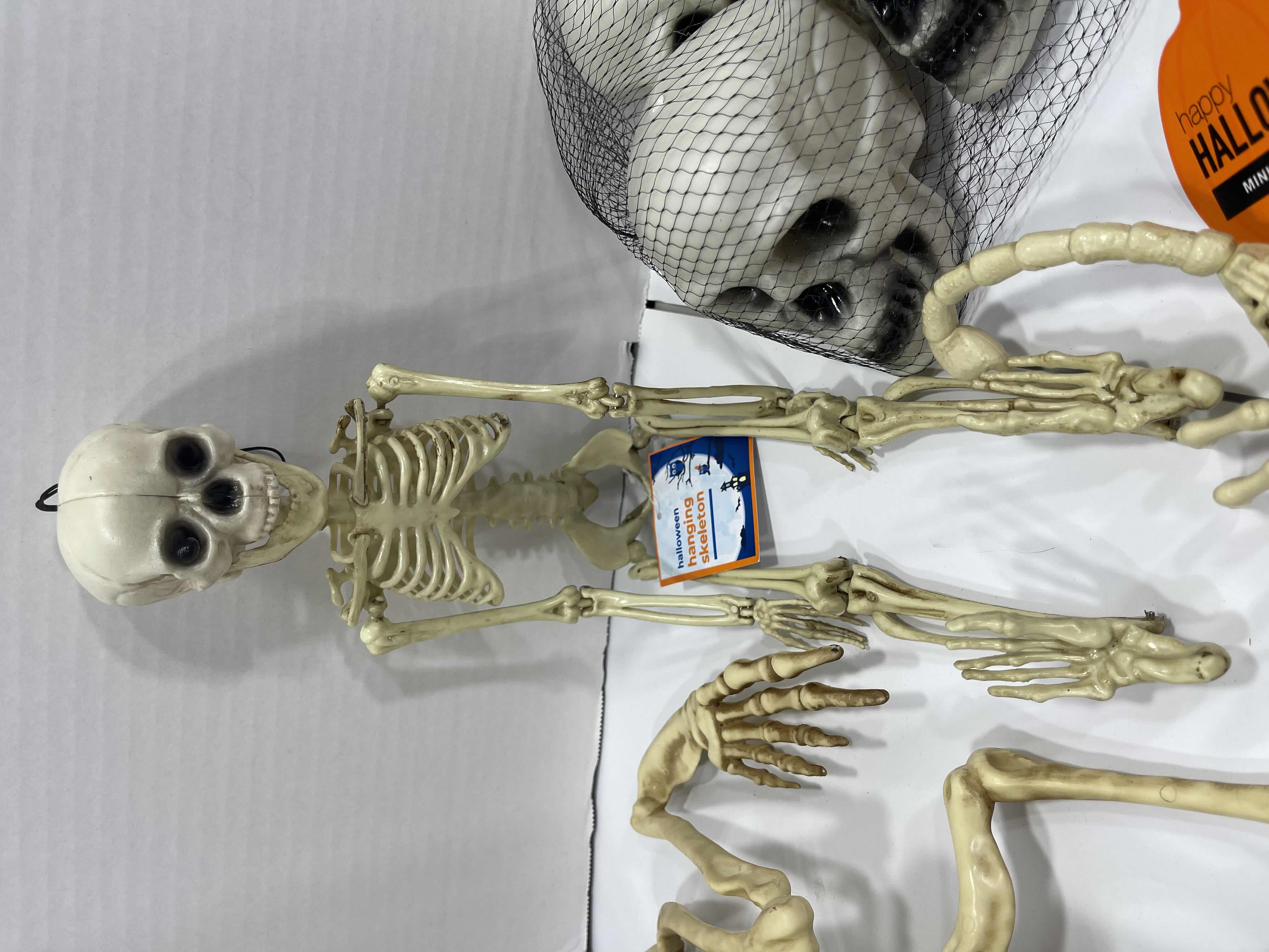 Photo 1 of HALLOWEEN FROG SKELETON LIGHT-UP, HANGING SKELETON, MINI SKELETONS & SKUKLS YARD/HOME DECORATIONS (7 ITEMS) MSRP $70