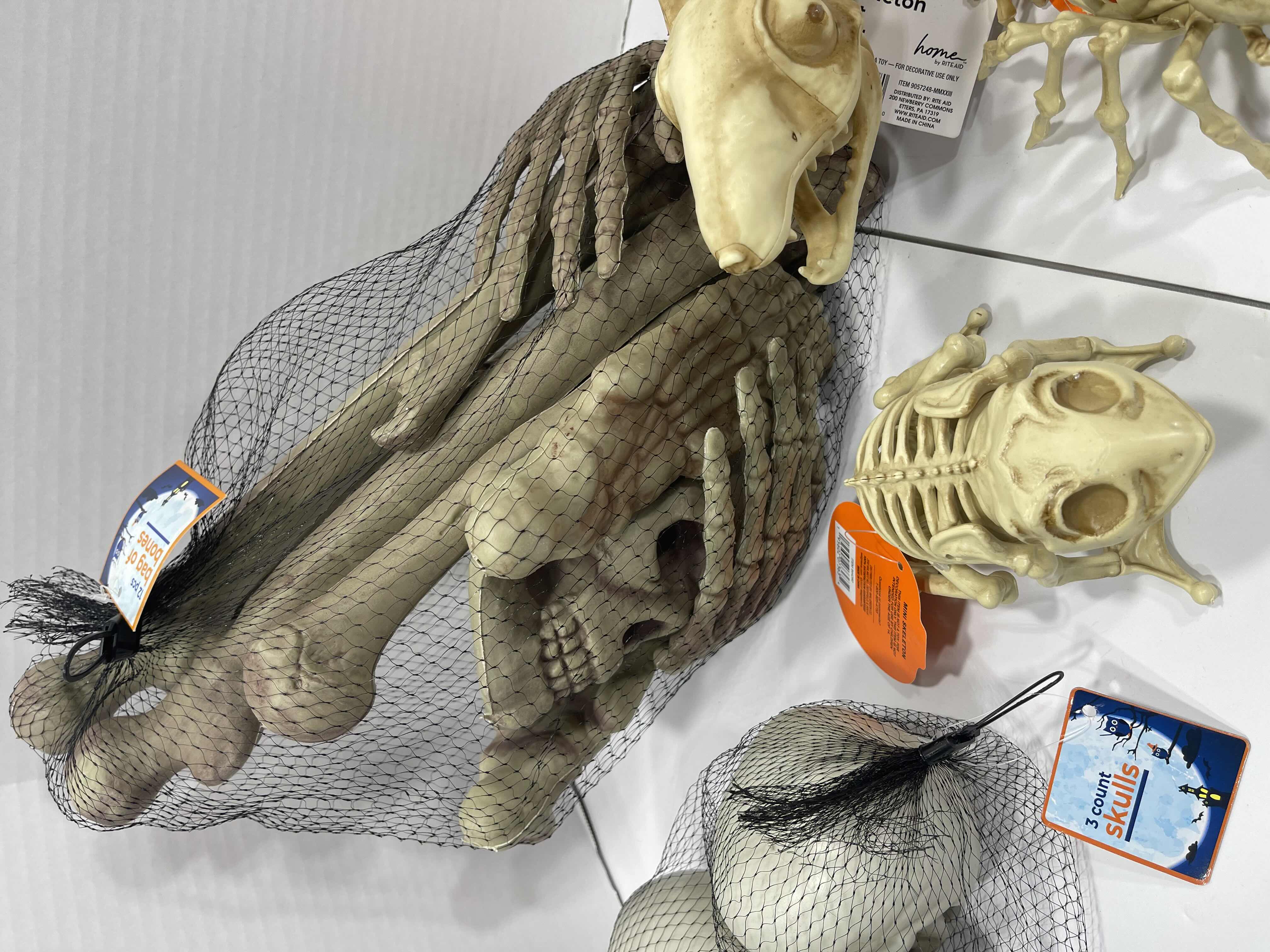 Photo 1 of HALLOWEEN RAT SKELETON LIGHT-UP, 12PCS BAG OF BONES, MINI SKELETONS & SKUKLS YARD/HOME DECORATIONS (7 ITEMS) MSRP $90