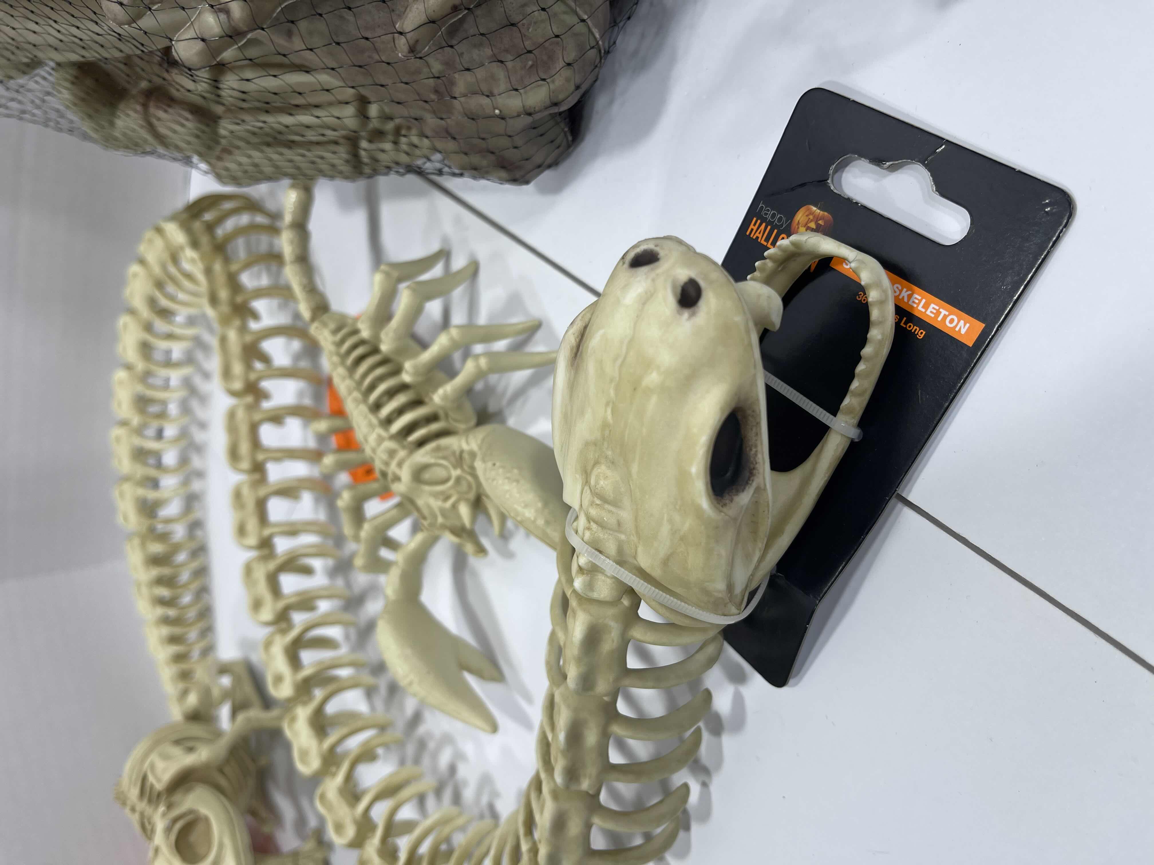 Photo 1 of HALLOWEEN SNAKE SKELETON 36”, 12PCS BAG OF BONES, MINI SKELETONS & SKUKLS YARD/HOME DECORATIONS (7 ITEMS) MSRP $90