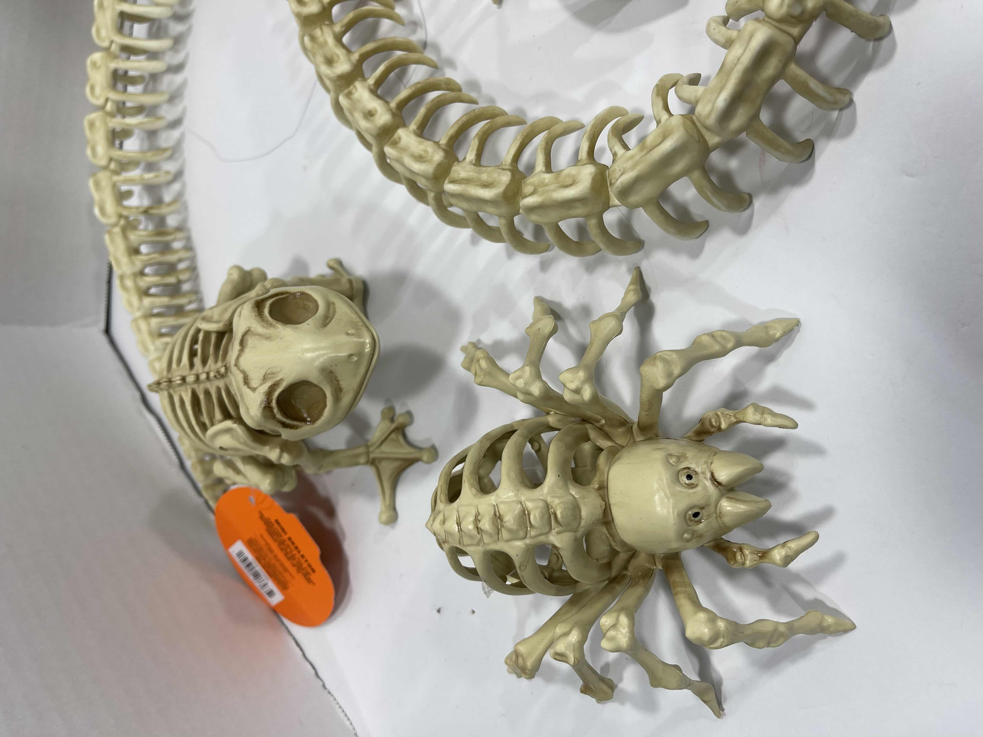 Photo 1 of HALLOWEEN SNAKE SKELETON 36”, 12PCS BAG OF BONES, MINI SKELETONS & SKUKLS YARD/HOME DECORATIONS (7 ITEMS) MSRP $90