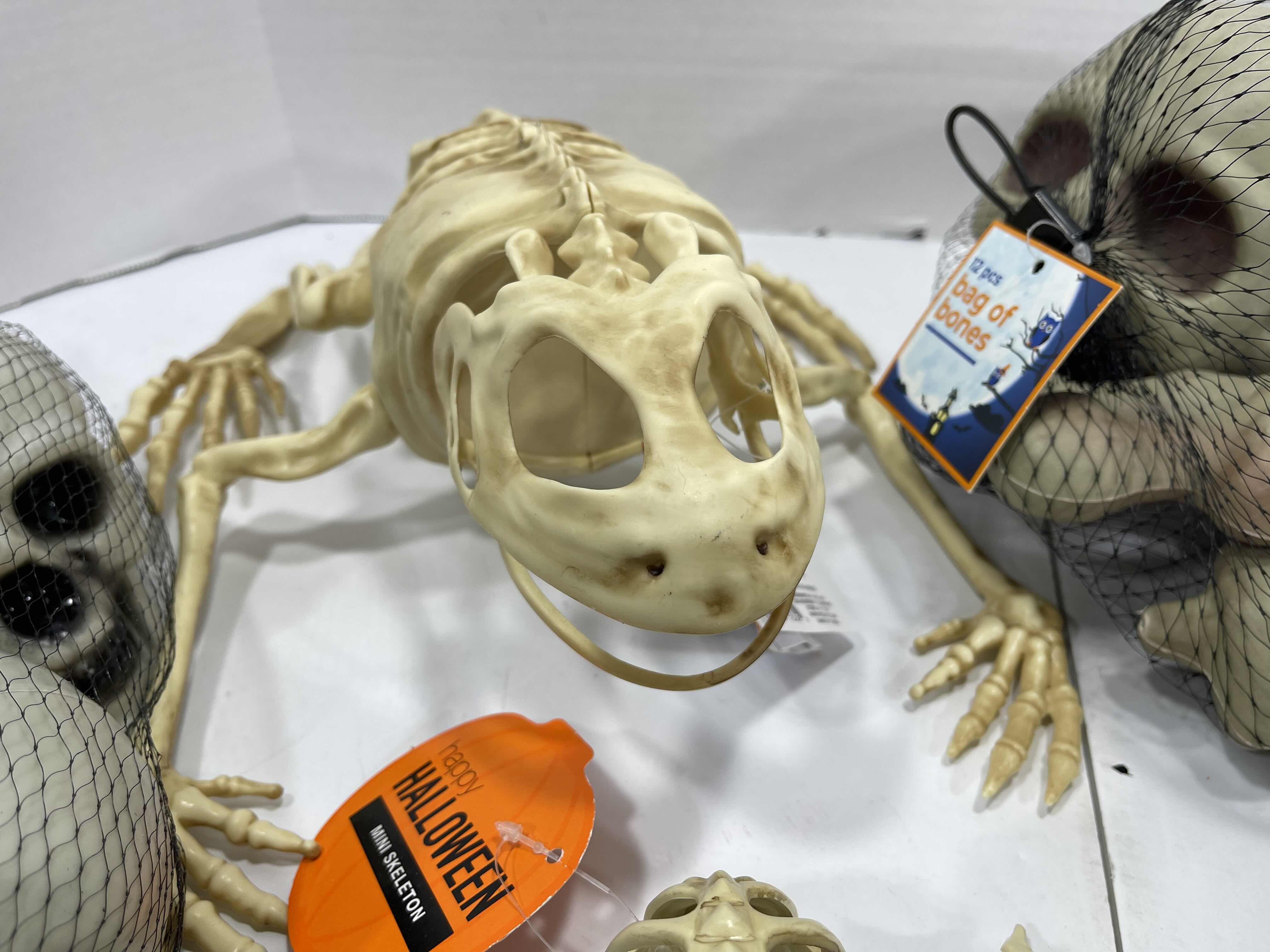 Photo 1 of HALLOWEEN YARD SKELETON DECORATIONS ASSORTED LOT (5 ITEMS) - BAG OF BONES, BAG OF SKULL HEADS (2), LIGHT-UP SKELETON FROG & MINI SKELETON MSRP $50