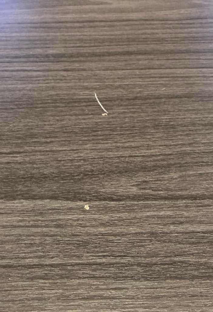 Photo 1 of OFFICE STAR COASTAL GRAY MODEN WALNUT LAMINATED DESK SHELL 71” X 35.5” H29.5