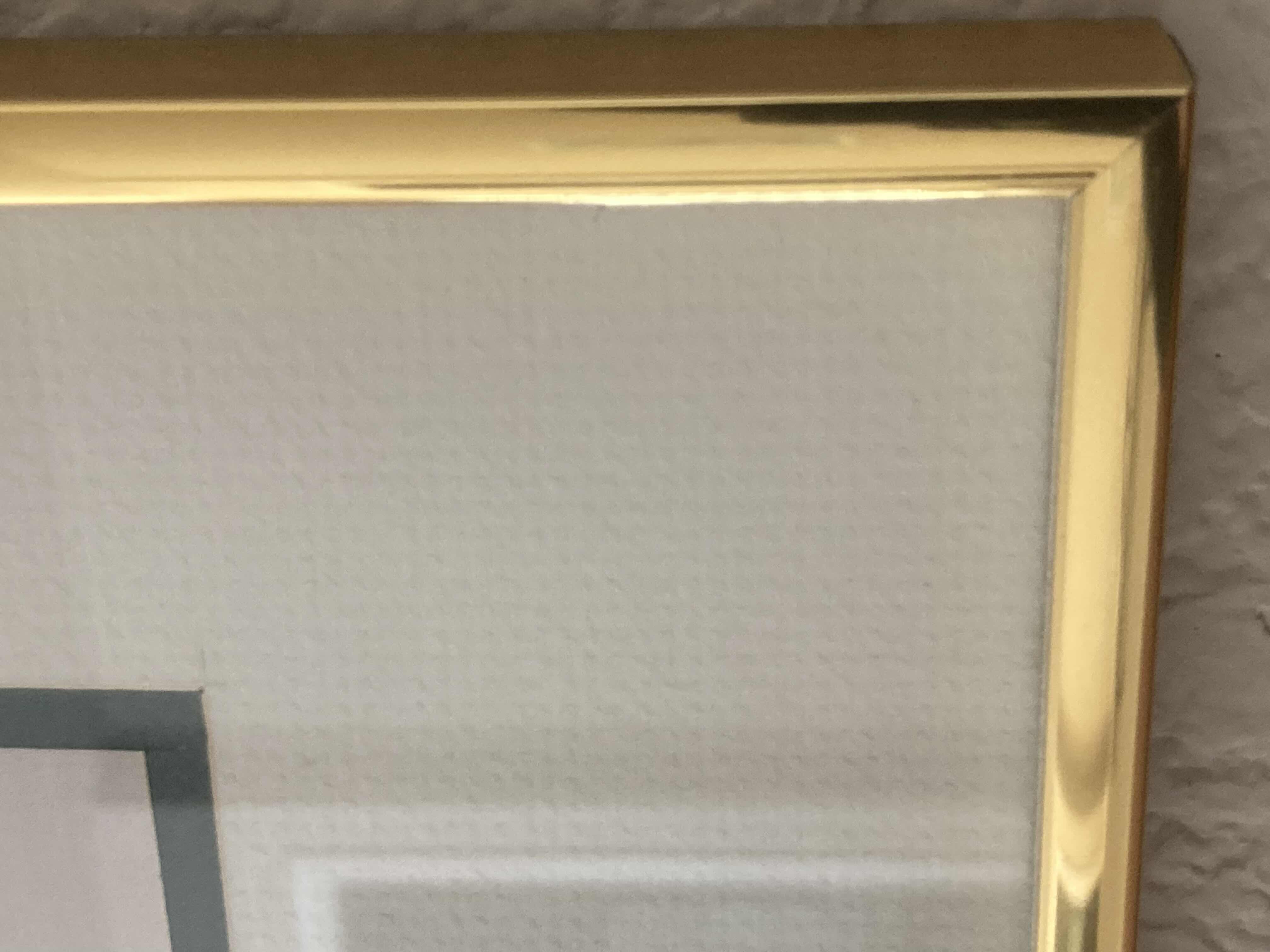 Photo 1 of “PETUNIAS & IVY” PAINTING REPRINT 345/2500 SIGNED BY LENA LIU FRAMED WALL ART 12” X 16”