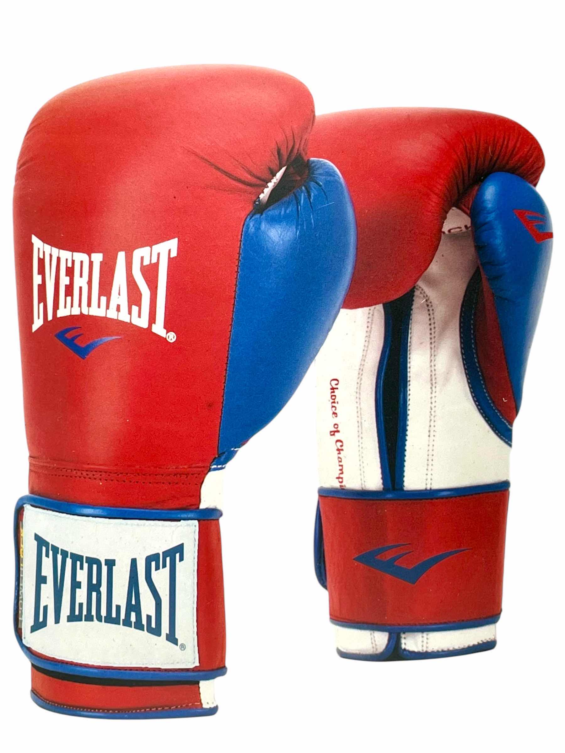 Photo 1 of EVERLAST POWERLOCK TRAINING BOXING GLOVES 16OZ