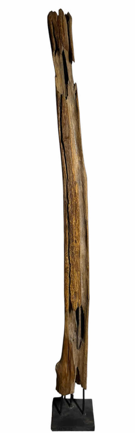 Photo 1 of PETRIFIED DRIFTWOOD SCULPTURE W IRON BASE 8” X 8” H74”