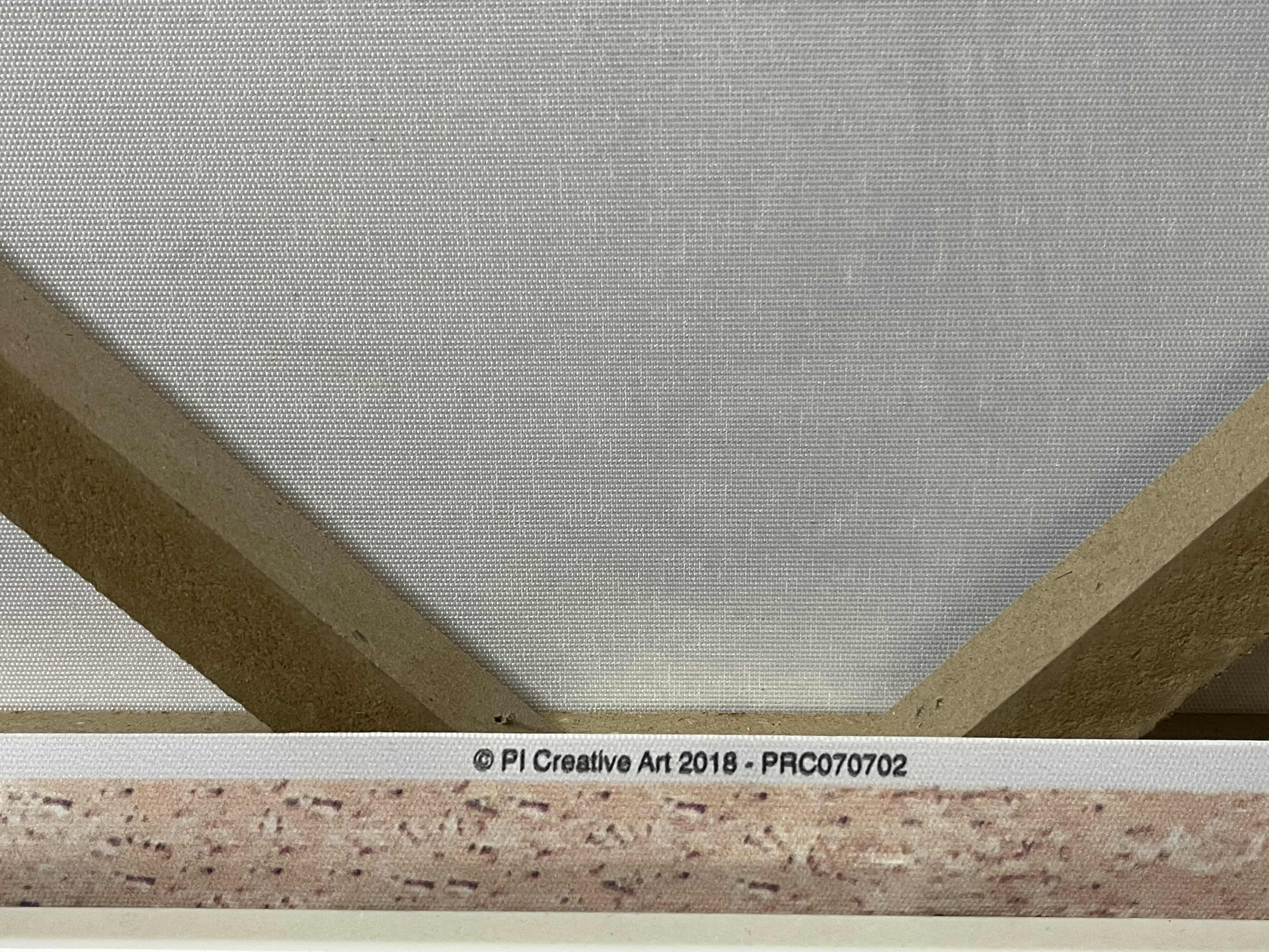 Photo 4 of PI CREATIVE ART DESERT CACTUS FRAMED CANVAS PRINT ARTWORK 25” X 37”