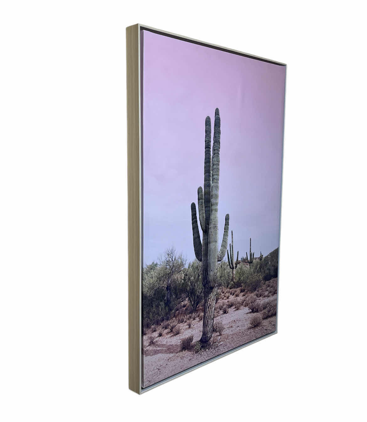 Photo 1 of PI CREATIVE ART DESERT CACTUS FRAMED CANVAS PRINT ARTWORK 25” X 37”