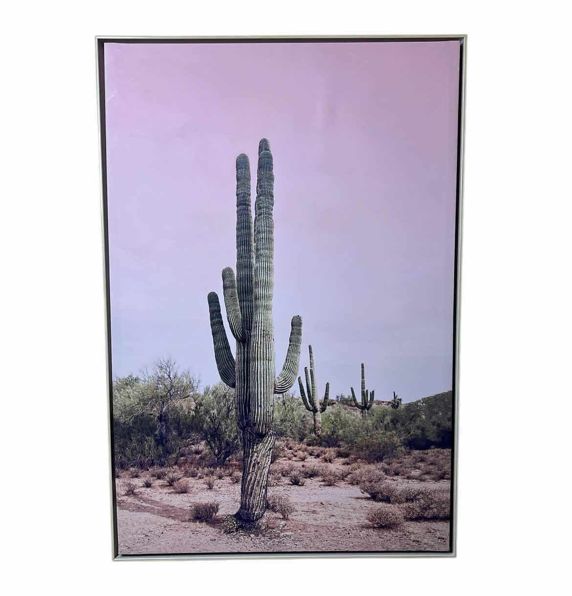 Photo 1 of PI CREATIVE ART DESERT CACTUS FRAMED CANVAS PRINT ARTWORK 25” X 37”
