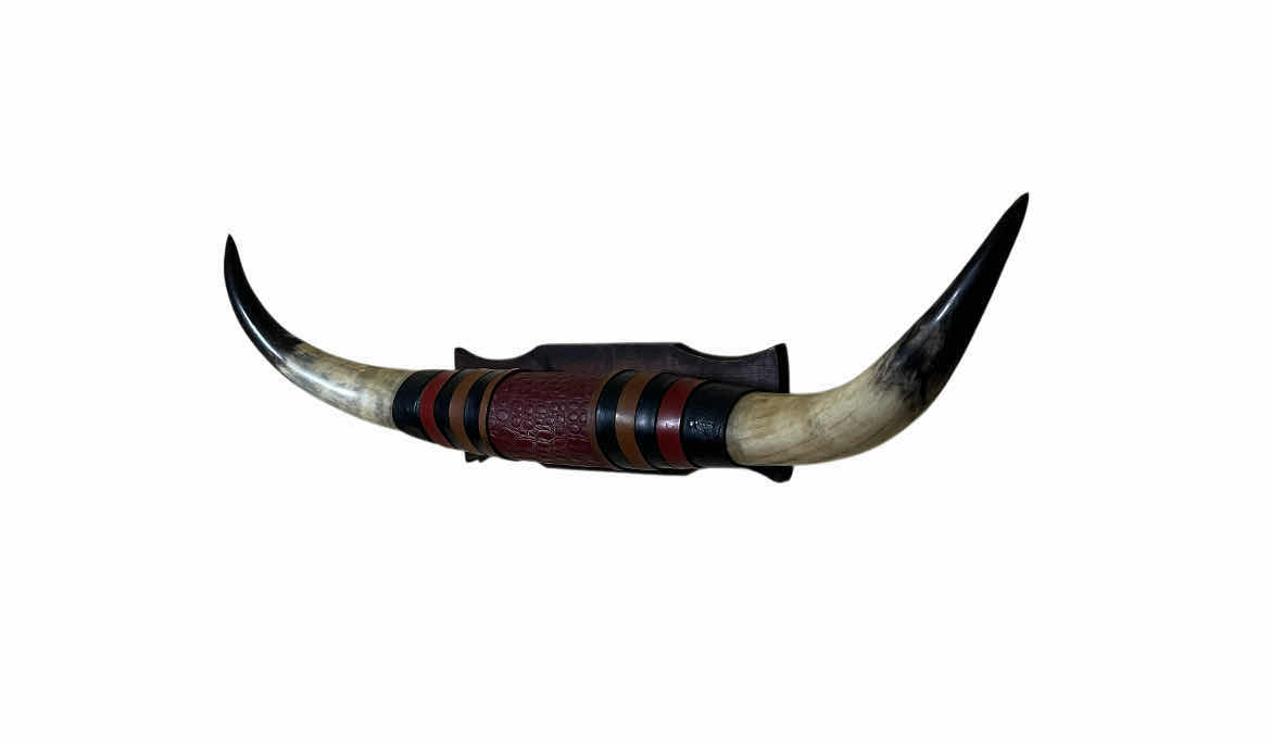 Photo 1 of LONGHORN MOUNT RESIN WALL ART 38” X 10”