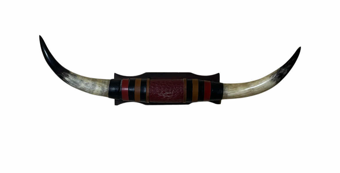 Photo 1 of LONGHORN MOUNT RESIN WALL ART 38” X 10”