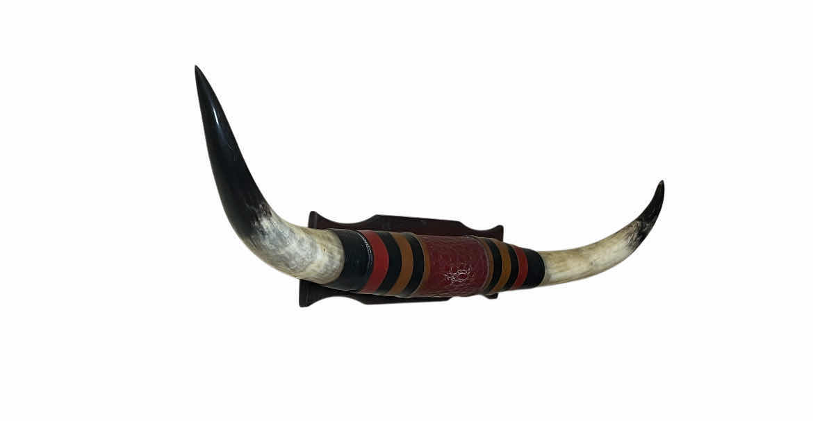 Photo 1 of LONGHORN MOUNT RESIN WALL ART 38” X 10”