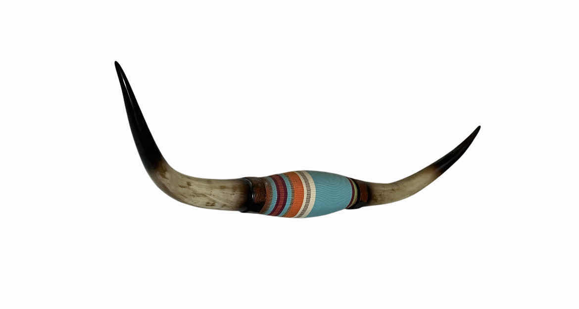 Photo 1 of SERAPE LONGHORN MOUNT RESIN WALL ART 36” X 9”