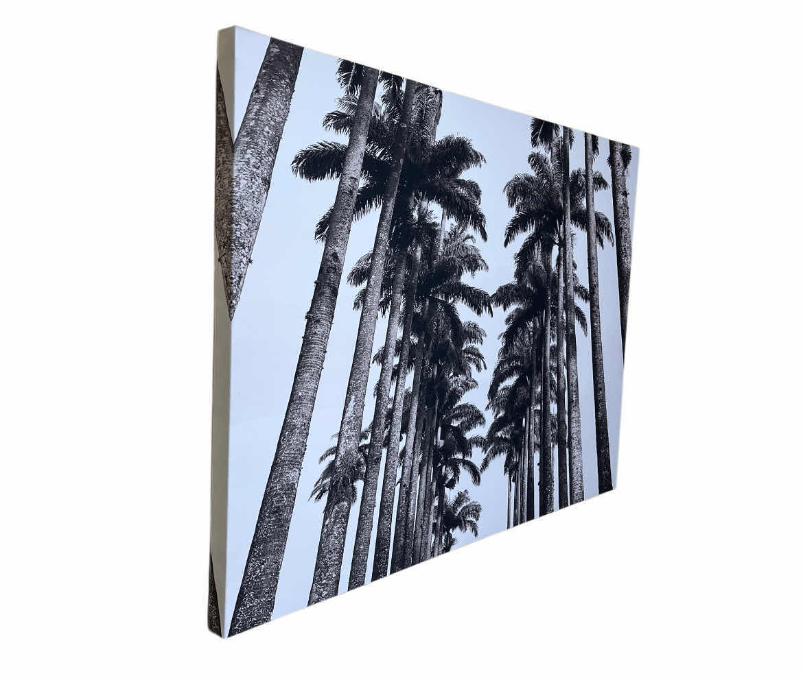 Photo 1 of BLACK & WHITE PALM TREES CANVAS PRINT ARTWORK 39” X 29”