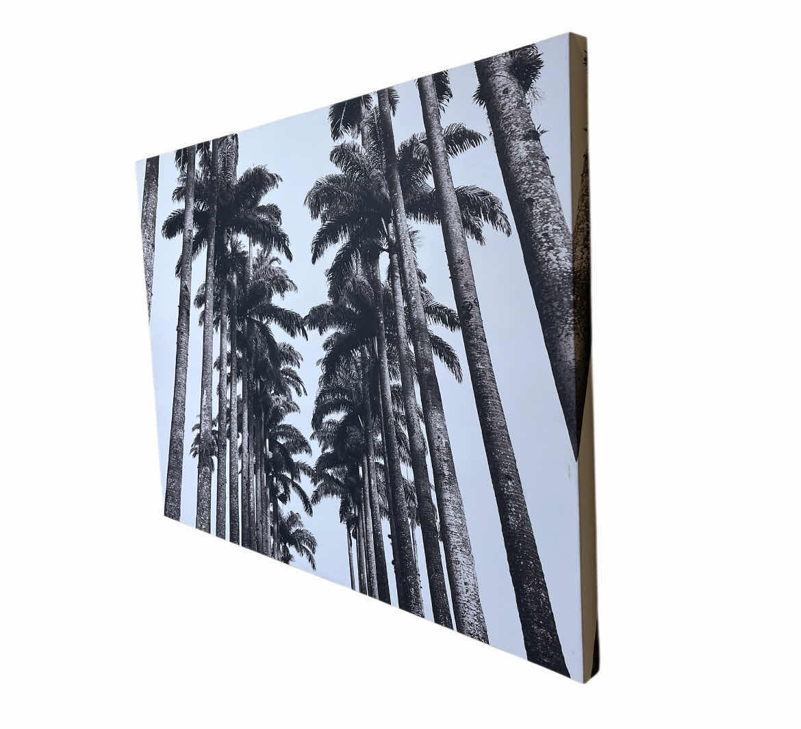 Photo 3 of BLACK & WHITE PALM TREES CANVAS PRINT ARTWORK 39” X 29”