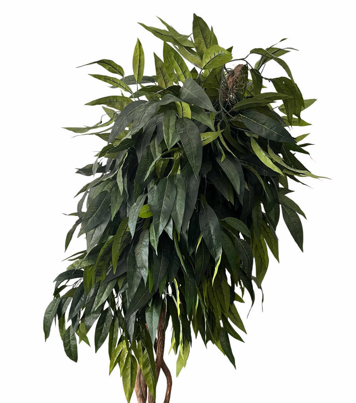 Photo 1 of JUNGLE MANGO ARTIFICIAL TREE W ORNATE PLANTER 32” X 82”