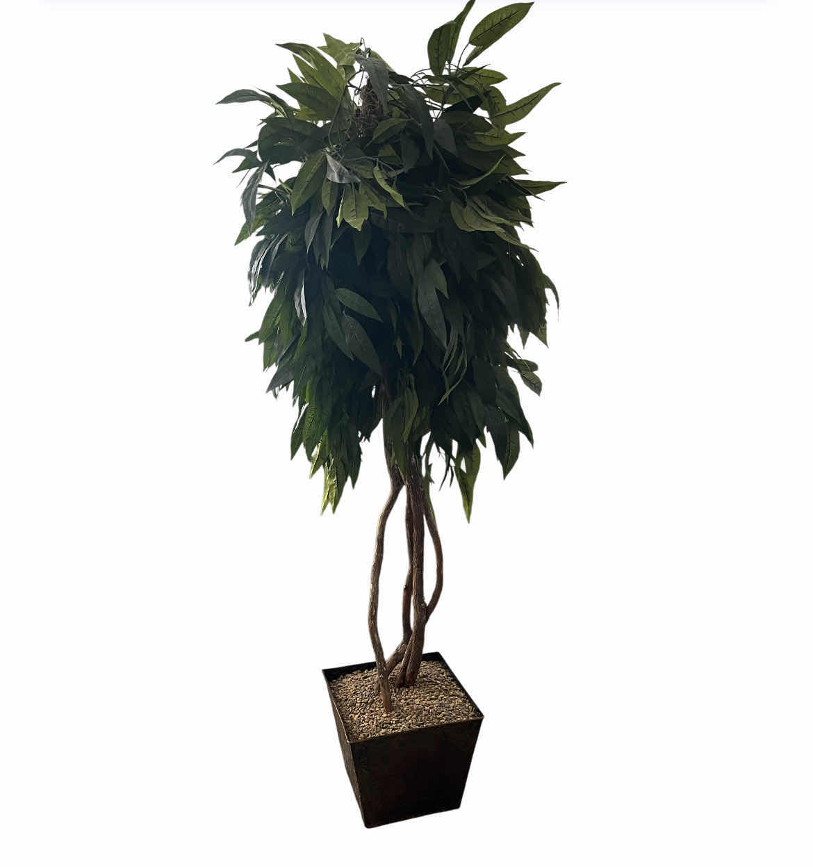 Photo 1 of JUNGLE MANGO ARTIFICIAL TREE W ORNATE PLANTER 32” X 82”