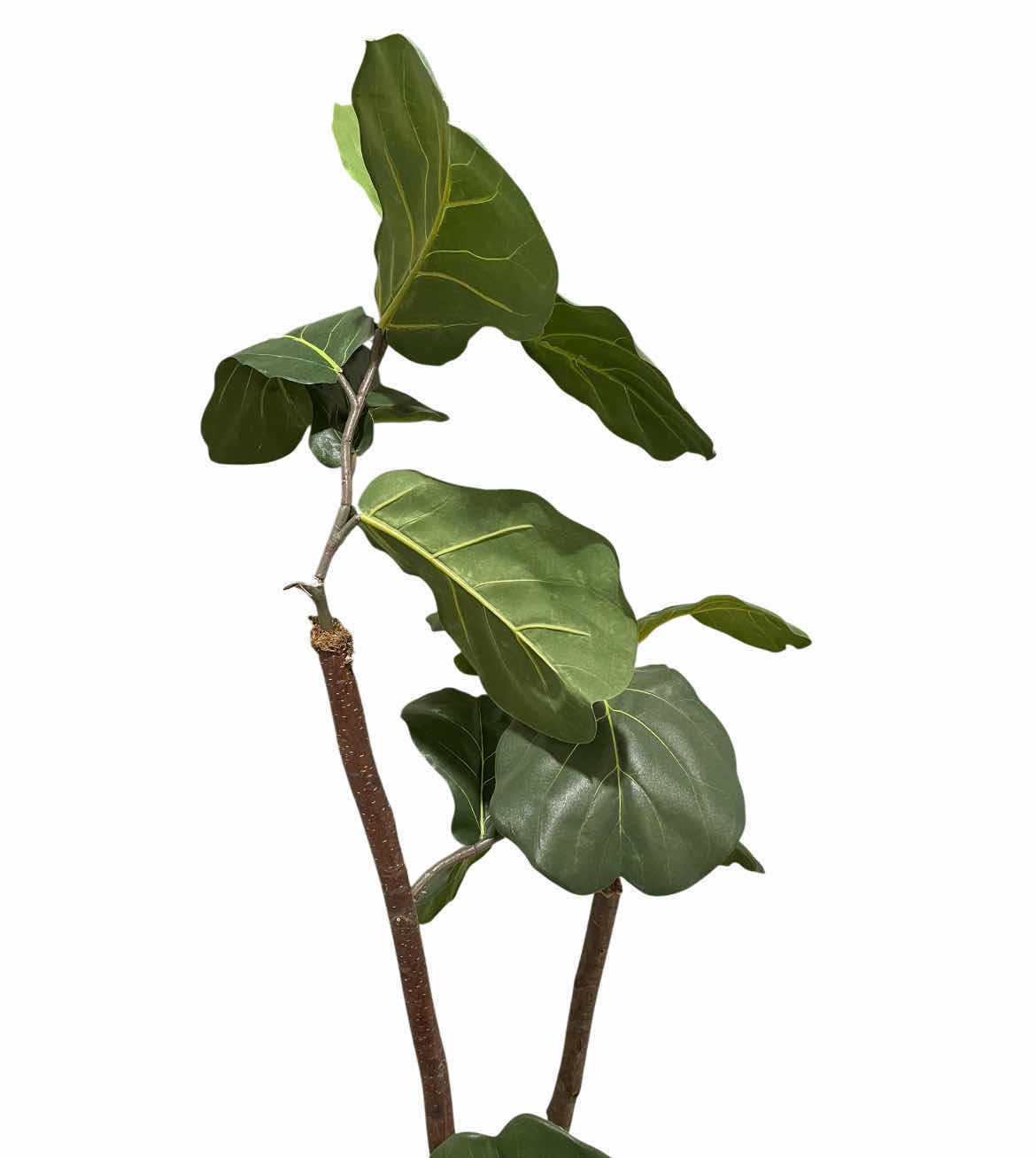 Photo 1 of INDOOR JUNGLE ARTIFICIAL TREE W PLANTER 22” X 73”