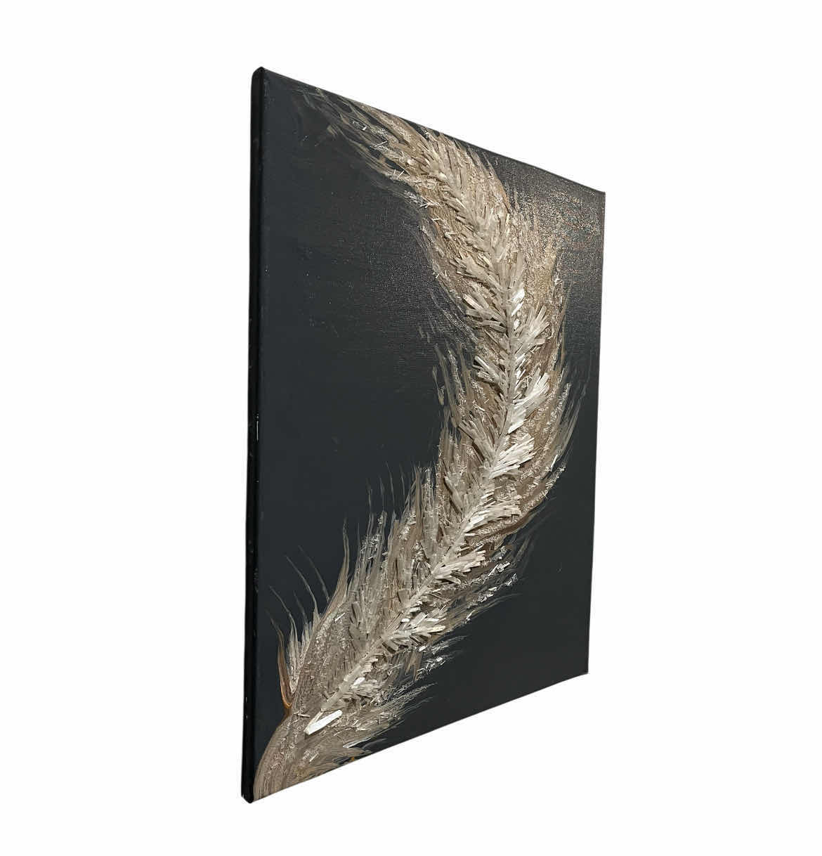 Photo 1 of 3D FEATHER CANVAS ARTWORK 16” X 20”