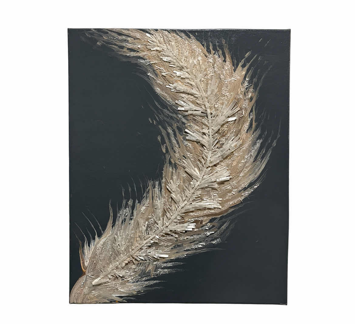 Photo 1 of 3D FEATHER CANVAS ARTWORK 16” X 20”
