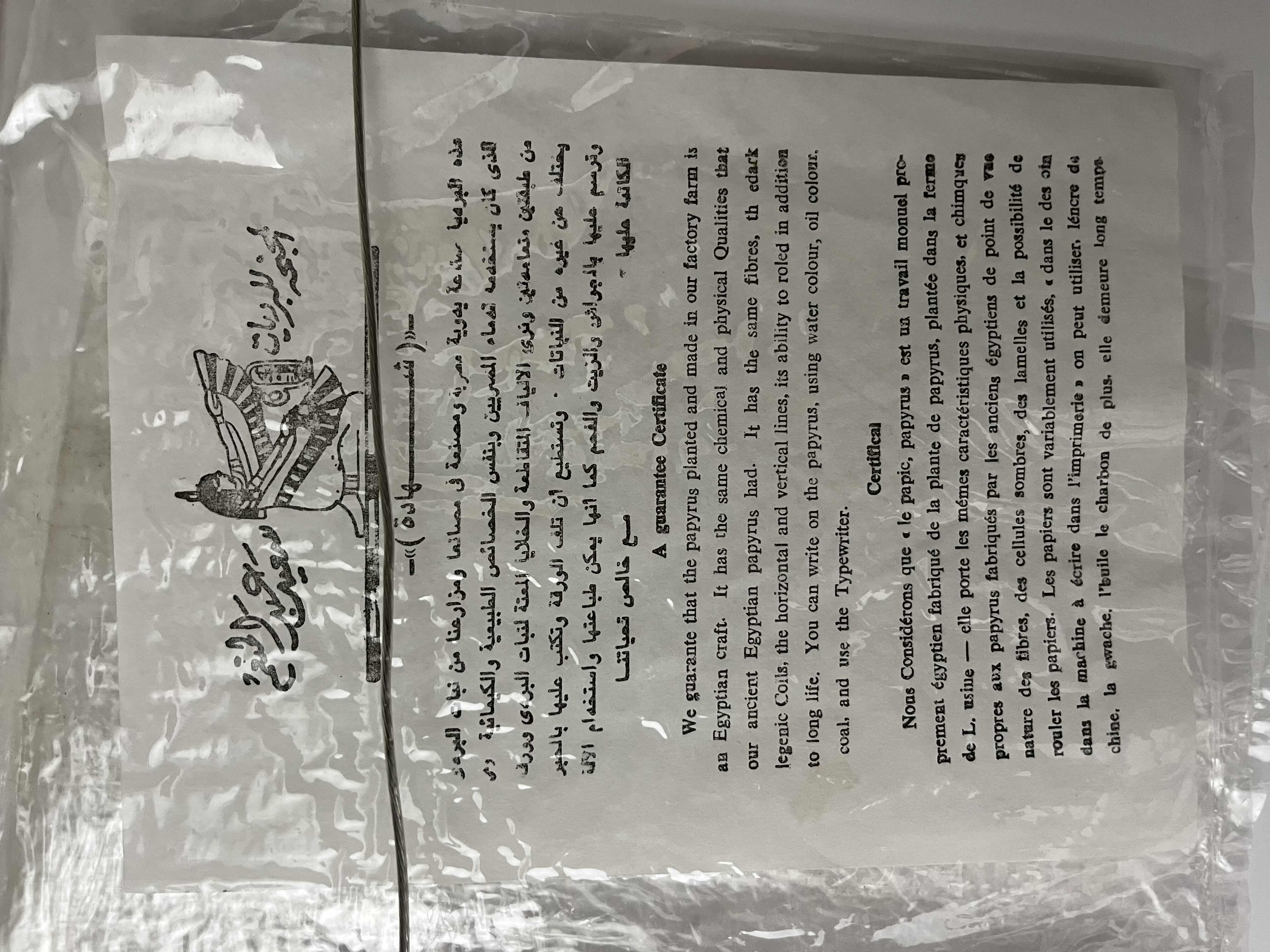 Photo 1 of ISIS AND HER HORNED CROWN FRAMED PAPYRUS ARTWORK SIGNED BY ARTIST W COA 21.5” X 17.5”