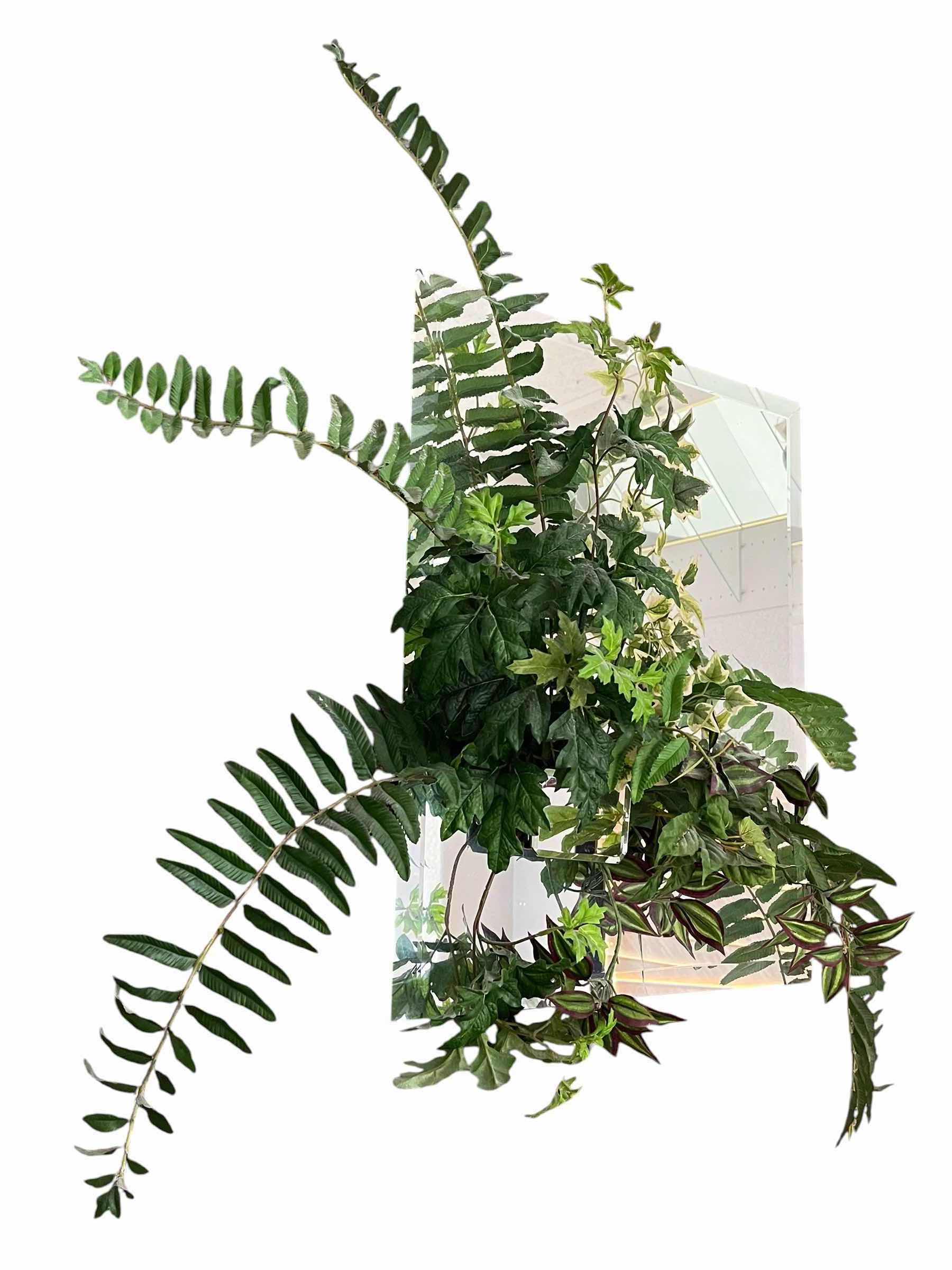 Photo 1 of FLOWERS BY BEVERLY FLORAL MOUNT FRAMELESS MIRROR