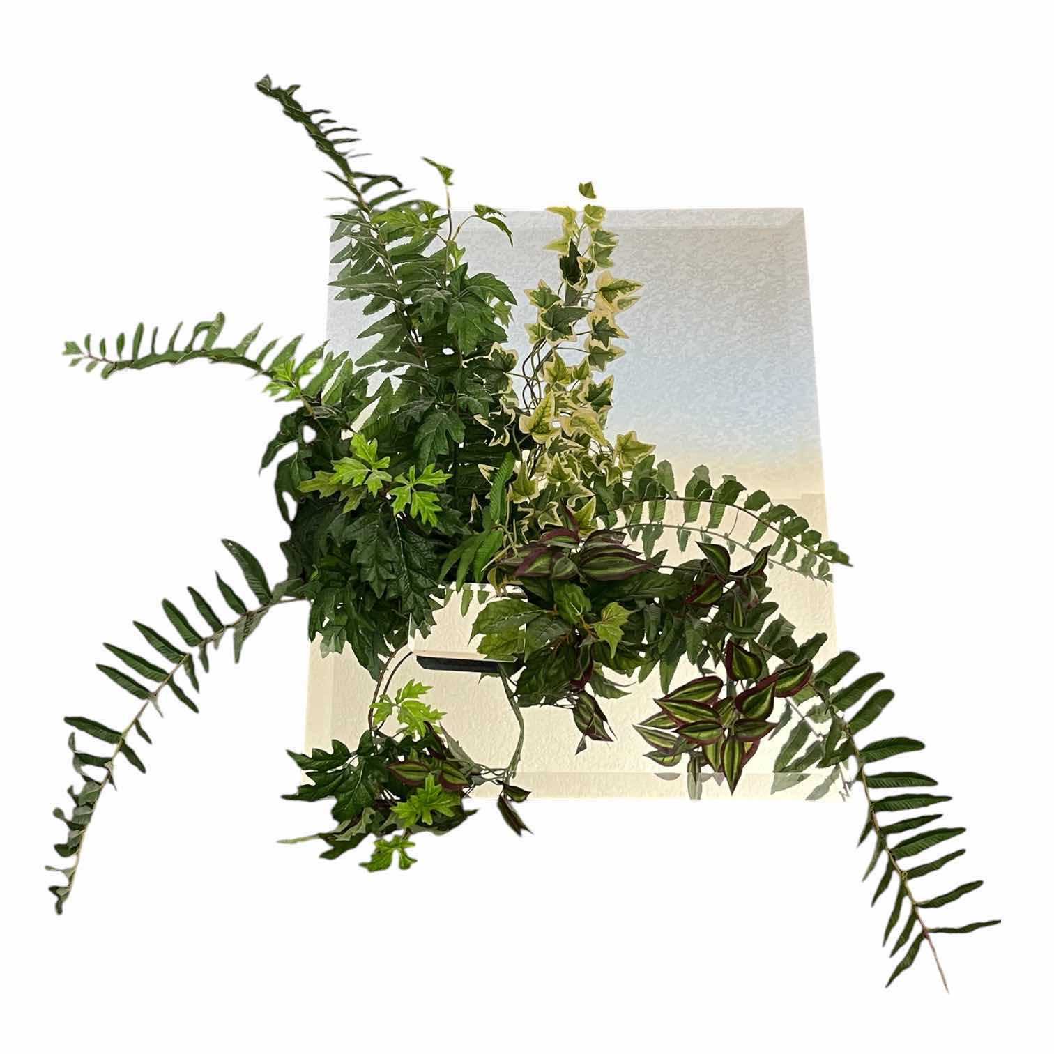 Photo 1 of FLOWERS BY BEVERLY FLORAL MOUNT FRAMELESS MIRROR