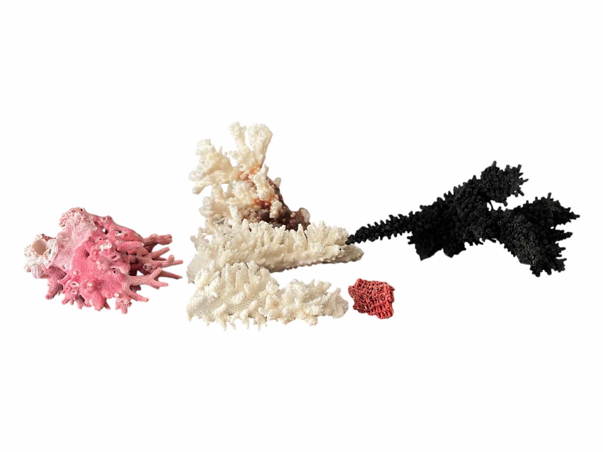 Photo 1 of BLACK, WHITE, & PINK CORAL DECOR 4”-8”