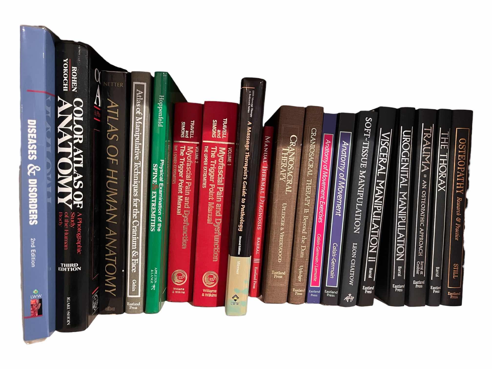 Photo 1 of HUMAN ANATOMY & PHYSICAL THERAPY SELF-HELP BOOKS (19)
