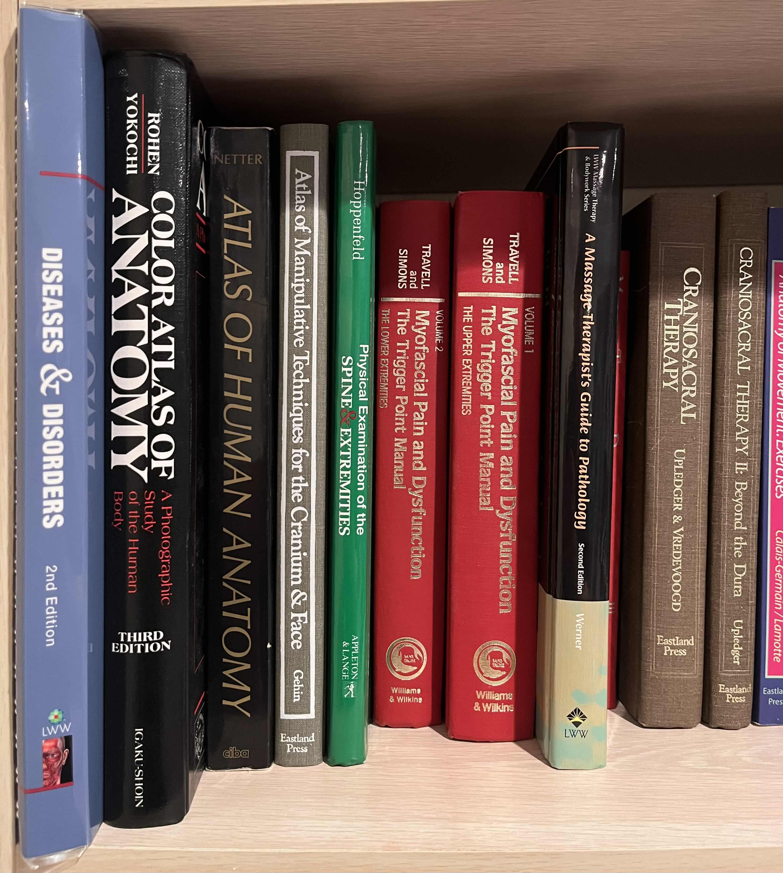 Photo 1 of HUMAN ANATOMY & PHYSICAL THERAPY SELF-HELP BOOKS (19)