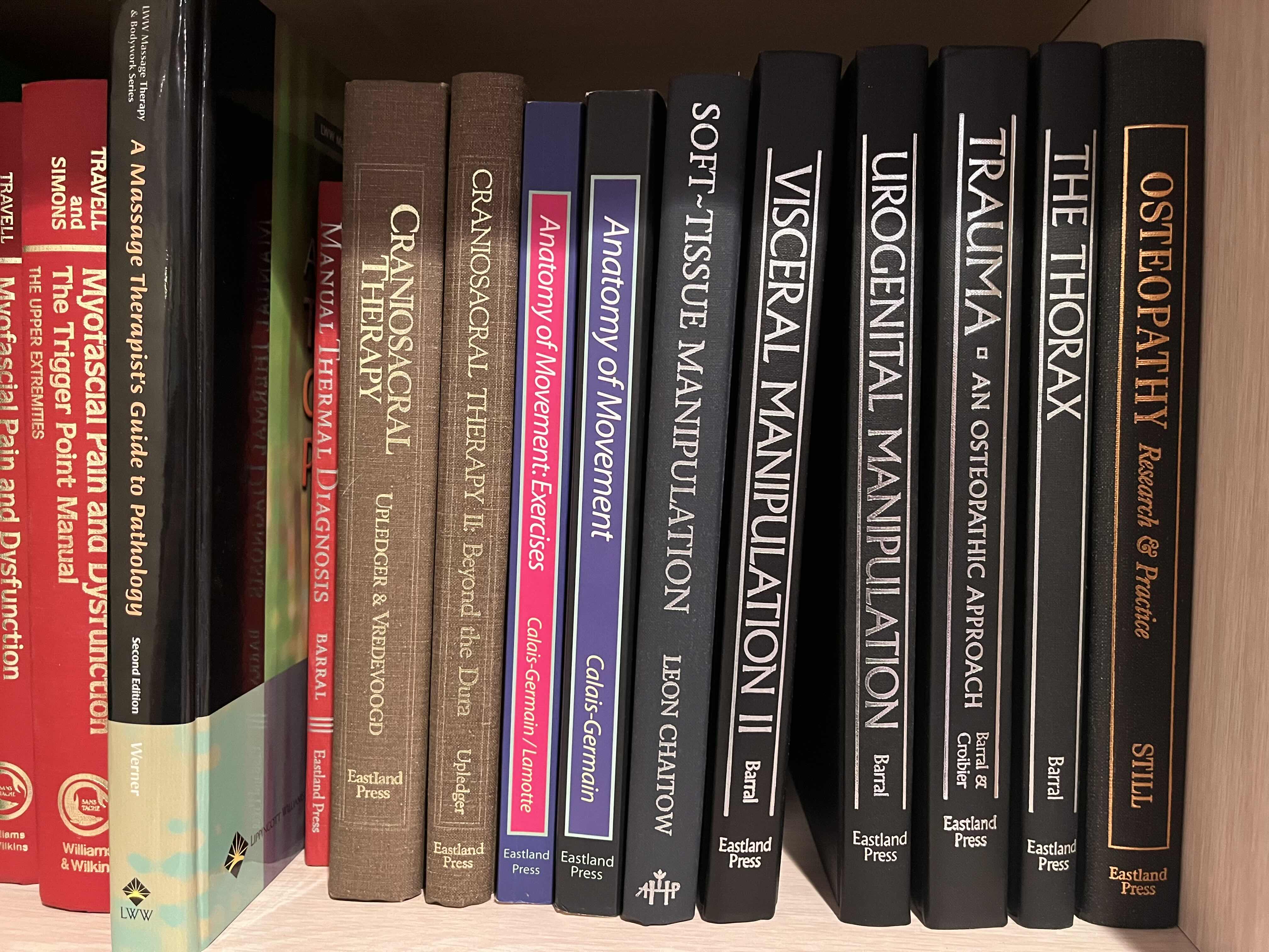 Photo 1 of HUMAN ANATOMY & PHYSICAL THERAPY SELF-HELP BOOKS (19)