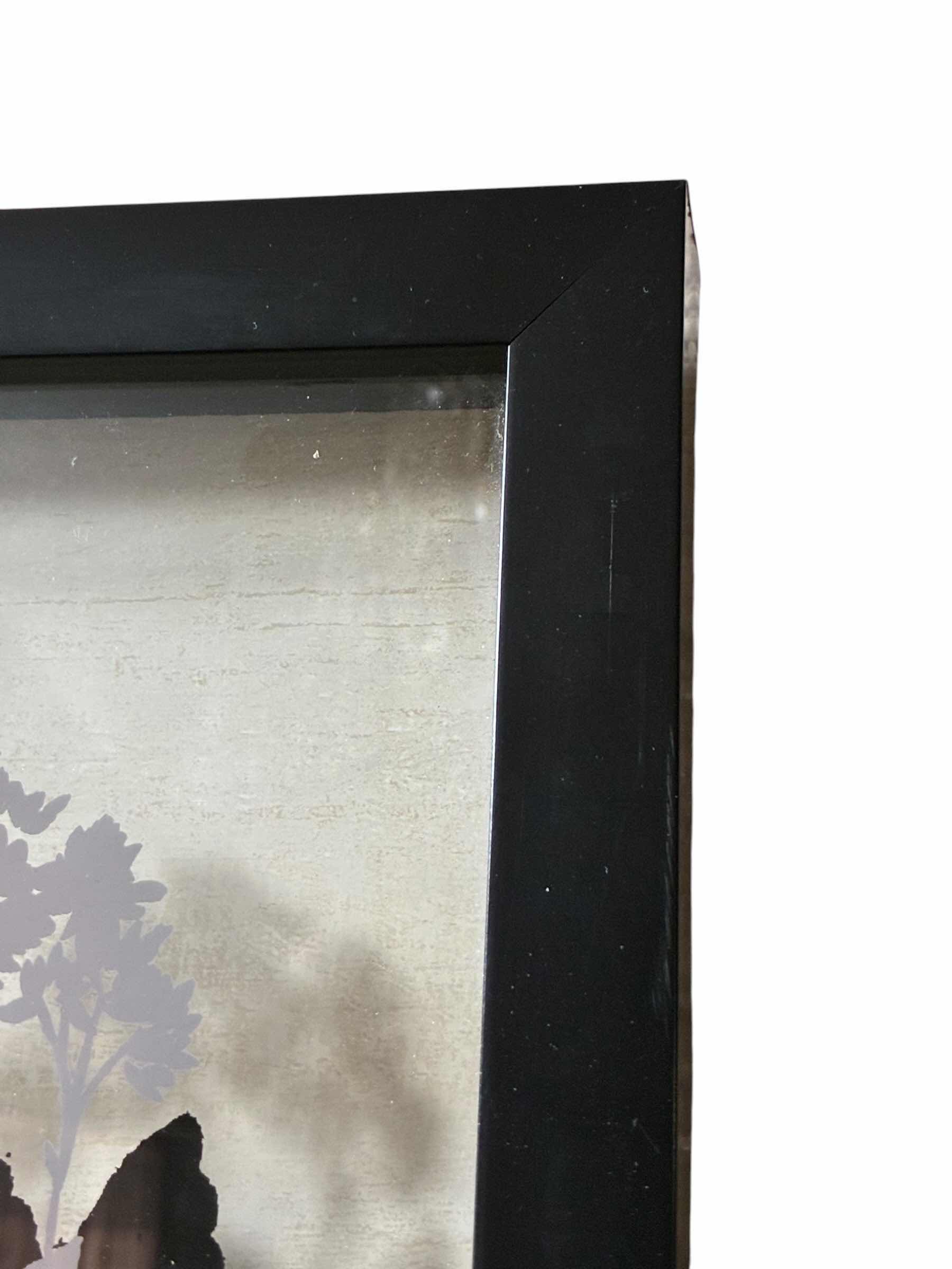 Photo 1 of BUTTERFLIES SILHOUETTE SHADOWBOX FRAMED ARTWORK BY CYNTHIA COULTER 17.5“ X 17.5“