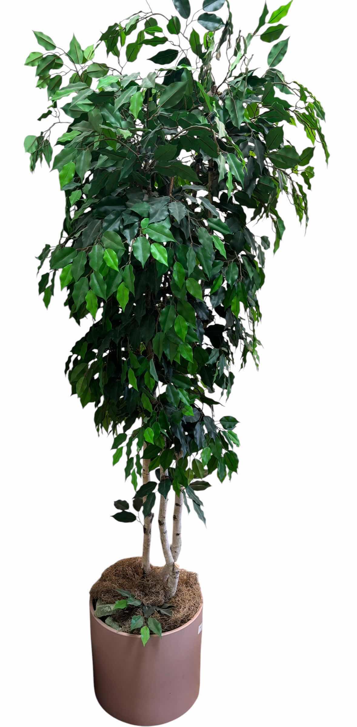 Photo 1 of ARTIFICIAL TREE H7’