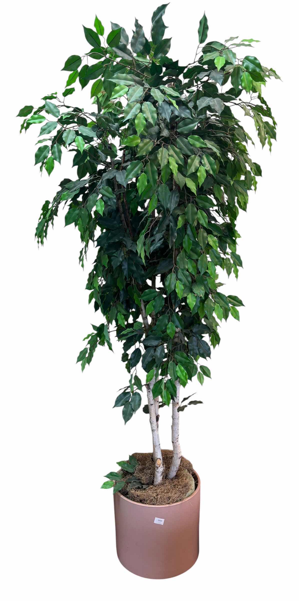 Photo 1 of ARTIFICIAL TREE H7’