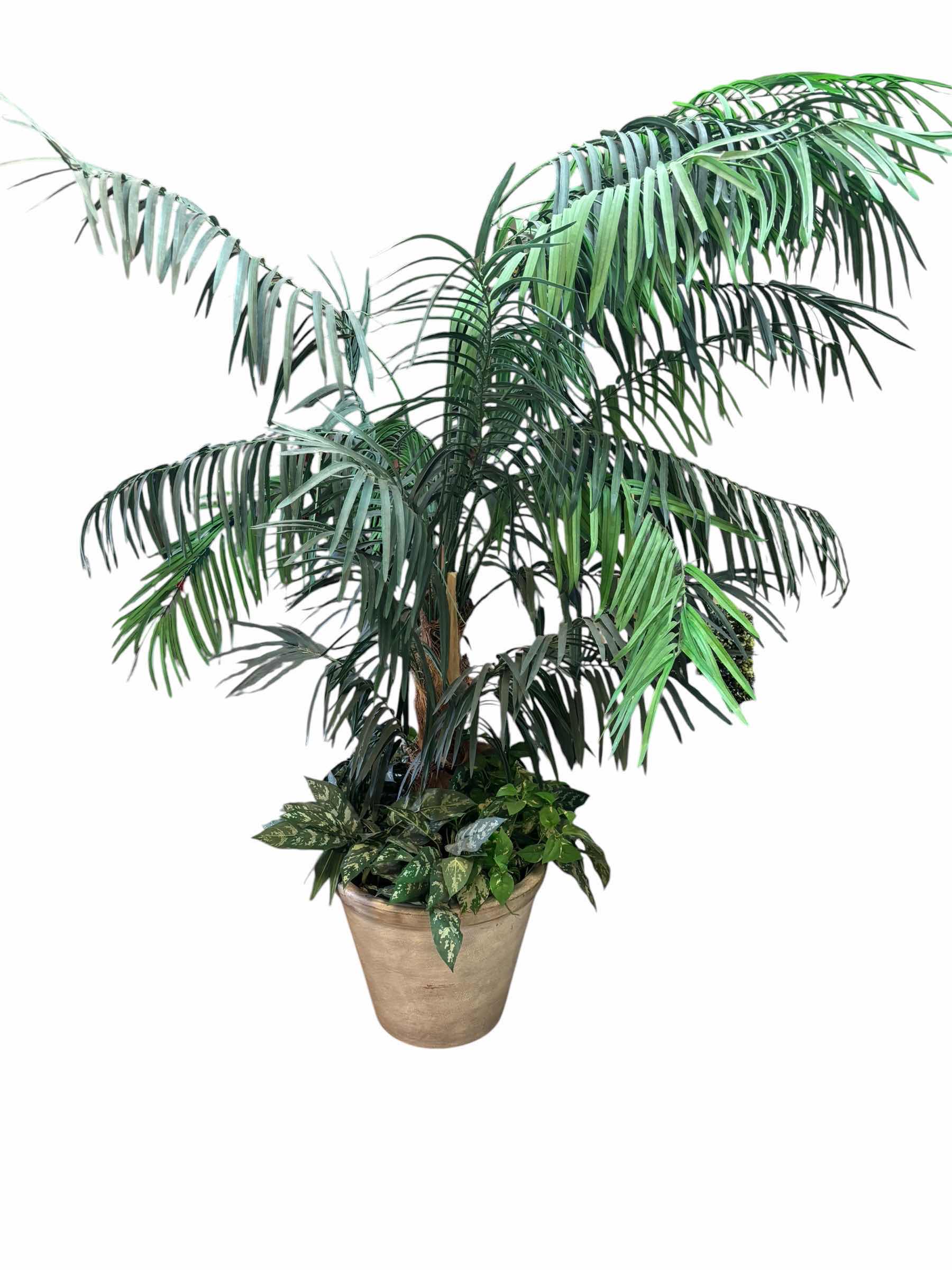 Photo 1 of ARTIFICIAL PALM TREE H6’
